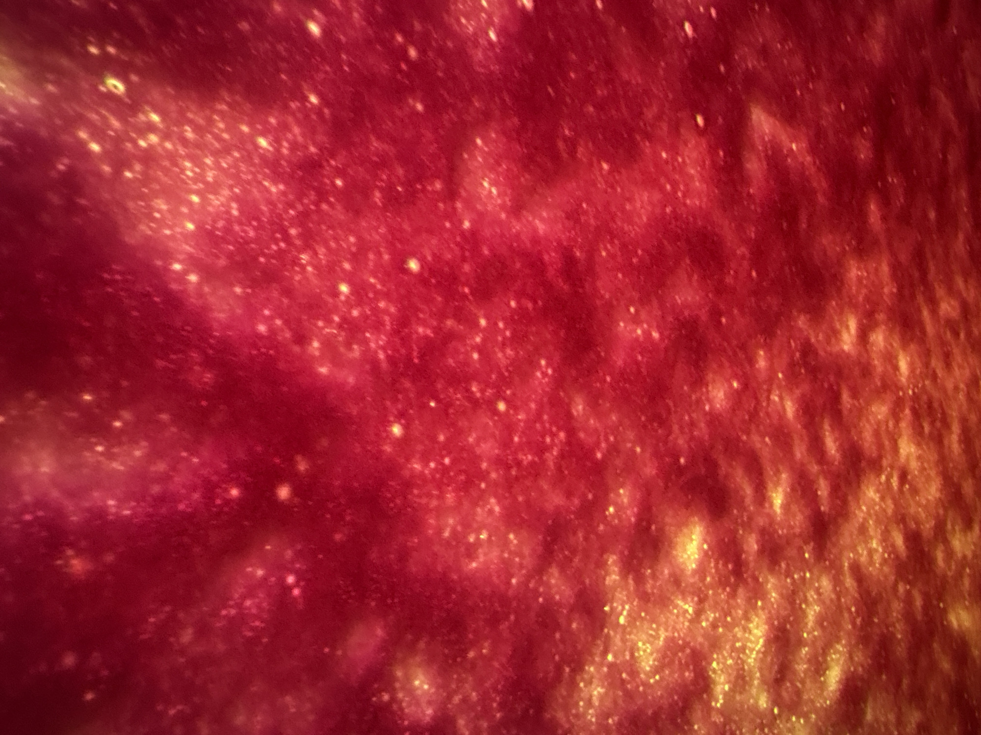 The image displays an abstract, textured composition dominated by vivid red and glowing golden-yellow hues. Numerous small, bright, and slightly blurred speckles are scattered across the entire frame, resembling shimmering glitter, dust, or tiny luminous particles. These golden-yellow speckles stand out against the rich red background, which varies in intensity from deep crimson to lighter, more vibrant shades.
The distribution of the bright particles is uneven; they appear to cluster more densely in certain areas, particularly towards the bottom right, where they create a pronounced golden glow. Similar, though less concentrated, patches of light are also visible towards the left side of the image. The overall effect suggests a dynamic, shimmering surface, potentially evoking a cosmic scene like a nebula, a magnified view of liquid with suspended light-reflecting particles, or an artistic light effect.
There are no discernible people or distinct objects within the image. No specific activity or event is depicted, as it is an abstract visual. The image provides no specific location cues, time of day, or weather conditions. Despite the external context of Votkinsk, Russia, the visual content itself offers no geographical indicators. No visible text is present.