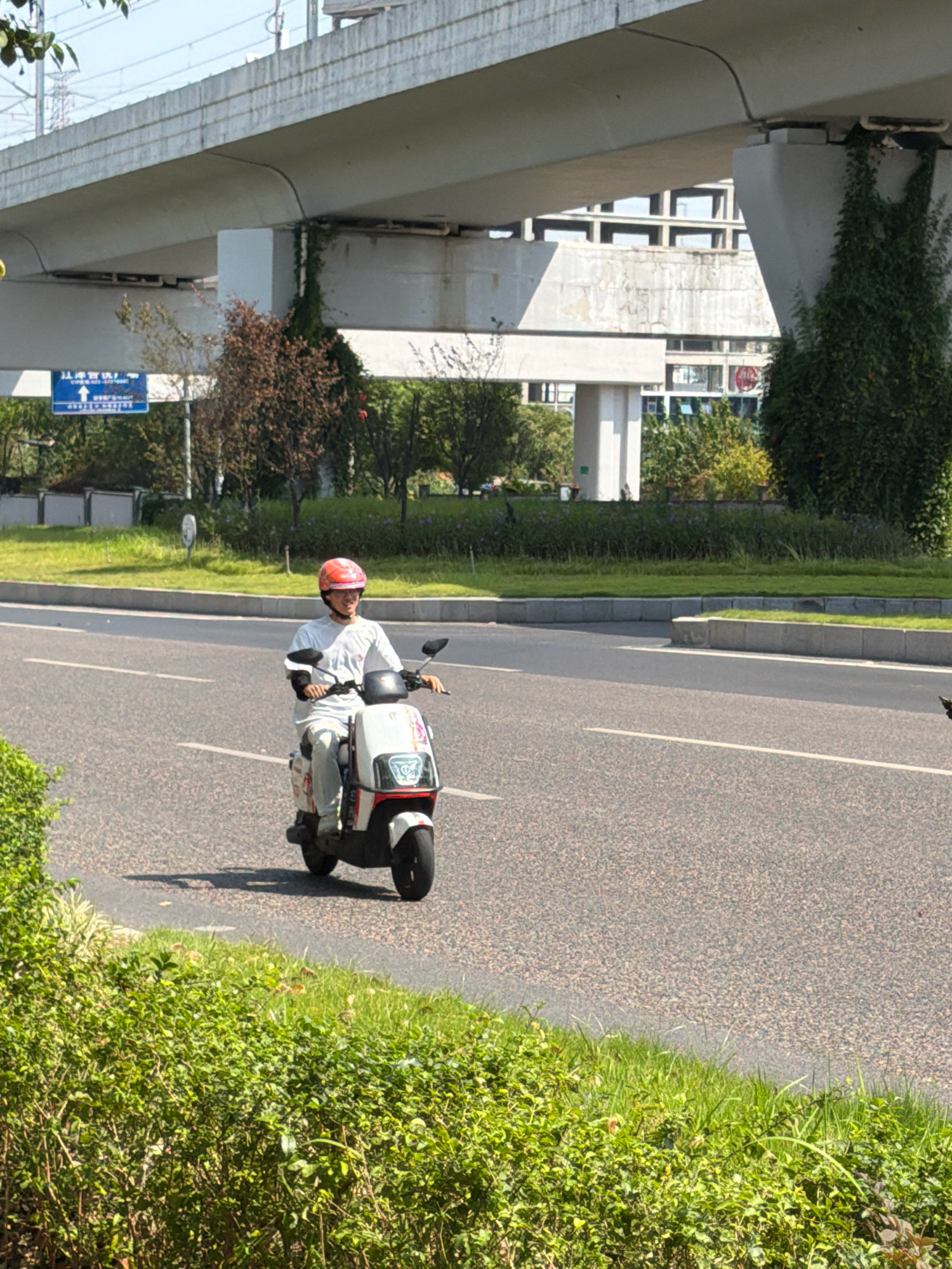 An individual wearing a red helmet and a white shirt and pants is riding a white electric scooter. The scooter has a white front panel with decorative stickers and a black seat. The individual is looking forward and appears to be smiling. They are on a paved road with a white lane marker. To the left of the road is a grassy area and bushes. In the background, there is a raised concrete structure, possibly an overpass or elevated highway, with vegetation growing on its pillars. Buildings are visible beyond the overpass. The scene is outdoors and appears to be a sunny day. The location is identified as Jiangjin, China.