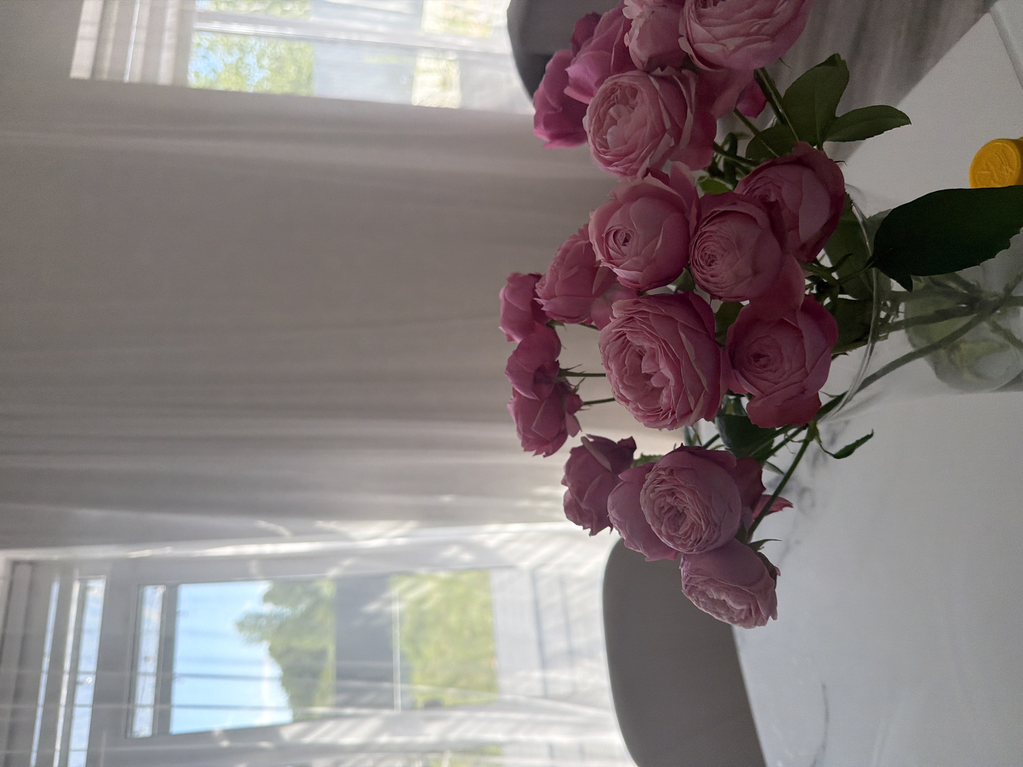 The image depicts a close-up of a bouquet of pink roses in a clear glass vase, placed on a white table. In the background, sheer white curtains cover a window, through which a blurry view of greenery and a bright blue sky is visible. The scene appears to be indoors, likely in a residential setting in Malinovka, Russia. There are no people or animals present in the image. The lighting suggests it is daytime, with sunlight filtering through the curtains, casting soft shadows. To the right of the vase, a small portion of a yellow object, possibly a bottle cap, is visible. The overall atmosphere is calm and domestic.