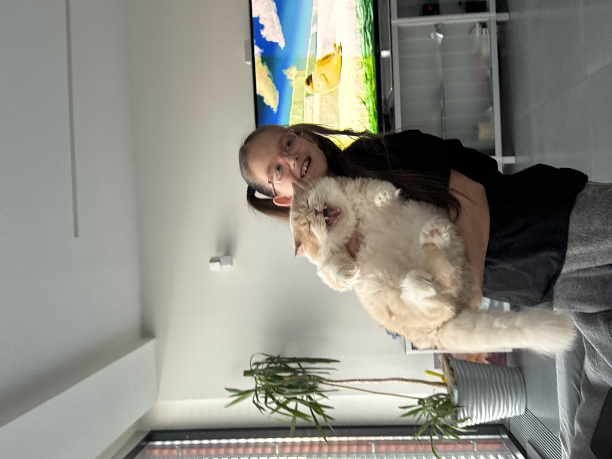 A young girl with brown hair, wearing glasses and a black shirt, is holding a fluffy, light-colored cat. The girl is smiling and the cat has its mouth open. Behind them is a television screen displaying a cartoon image and a white cabinet. Below, a plant in a white pot sits on a surface near a window with blinds. The location is Unknown, Unknown.