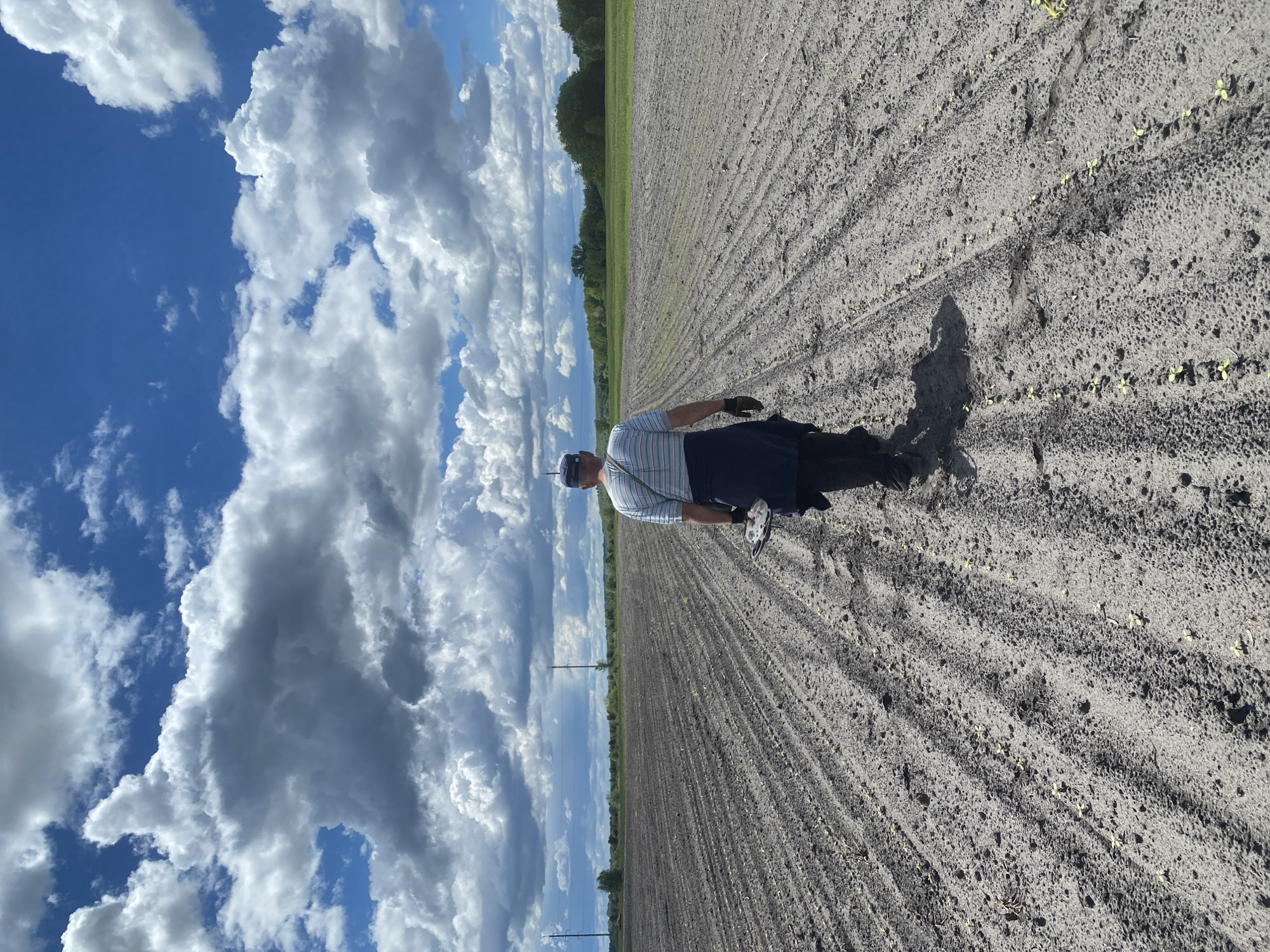 An adult male stands in a tilled field under a blue and cloudy sky. The field appears to be planted with small crops in rows. A treeline is visible on the horizon. The man's shadow stretches across the field. The scene depicts agricultural activity near Matyashivka, Ukraine.