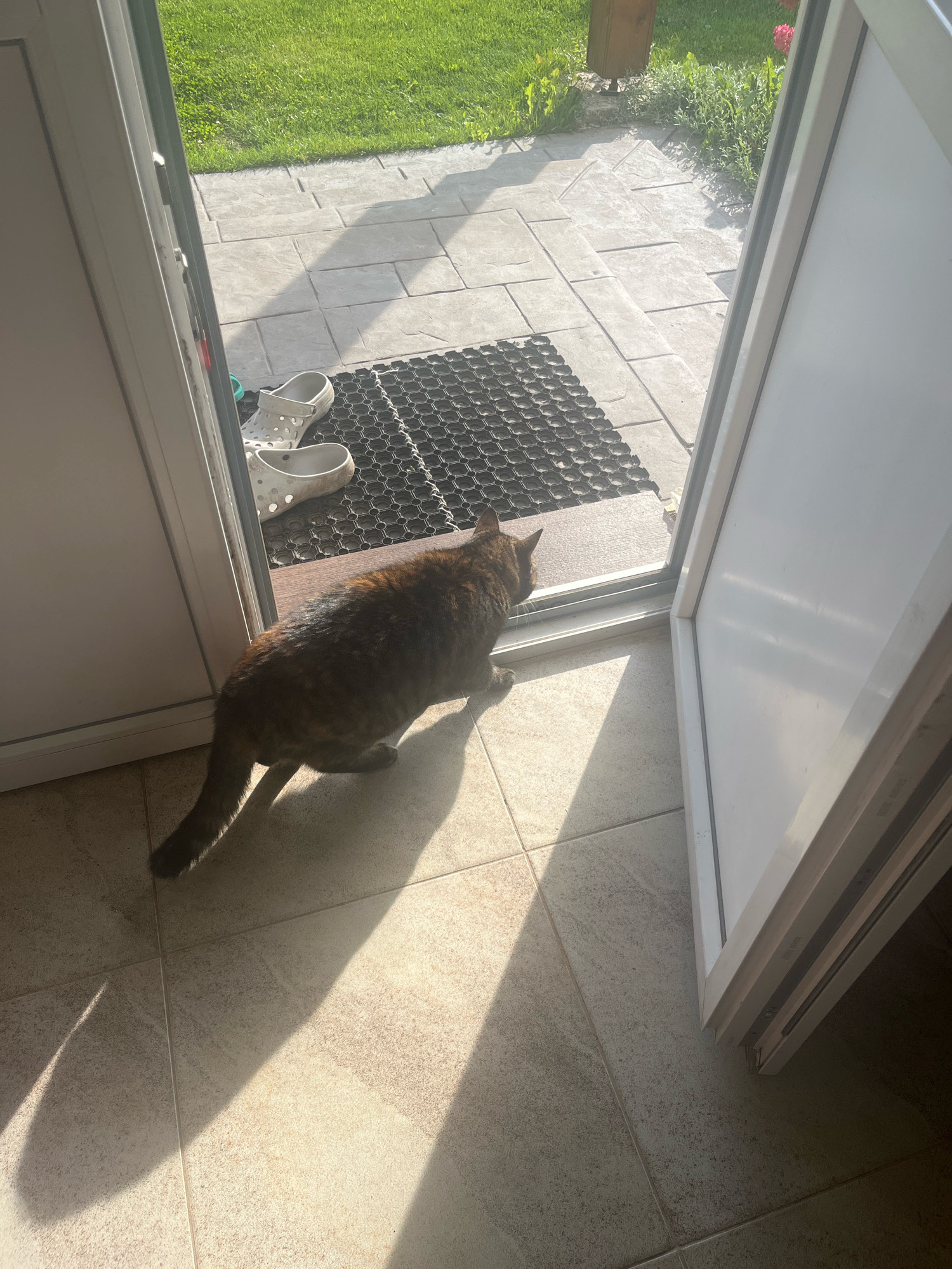 A tortoiseshell cat is positioned on a tiled floor, looking towards an open doorway. Sunlight streams in from the right, casting a strong shadow of the cat across the tiles. Outside the doorway, a patio with stamped concrete pavers is visible, leading to a grassy area. A black doormat with a grid pattern is placed on the pavers just outside the door. Two white Crocs shoes are on the doormat. The image is taken at ground level, providing a clear view of the cat and its immediate surroundings. No people are present. The location appears to be a residential property in Vladimirovka, Russia, given the context.