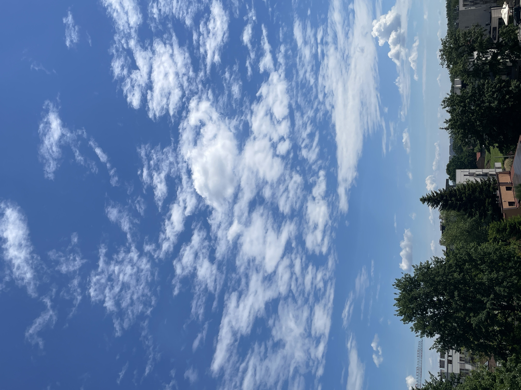 The image depicts an outdoor daytime scene, likely captured from an elevated position overlooking a suburban or semi-urban area in Unknown, Unknown. The upper two-thirds of the frame are dominated by a clear, vibrant blue sky interspersed with numerous white clouds. These clouds range from wispy, high-altitude cirrus-like formations in the upper left to more distinct, fluffy cumulus clouds scattered throughout the mid-sky and near the horizon.
The lower third of the image shows a landscape characterized by dense green foliage and various buildings. Several large deciduous trees with dark green canopies are prominent in the immediate foreground and midground, along with at least one coniferous tree on the right side. Interspersed among the trees and extending into the background are multi-story residential or commercial buildings, predominantly light-colored with visible windows and balconies. Some buildings feature red-brown rooftops. On the far left, partially obscured by trees, the lattice structure of a construction crane is visible against the sky. Towards the right, a white outdoor umbrella or canopy is partially visible, suggesting an outdoor seating area. No individuals, specific actions, or direct interactions are discernible within the frame.