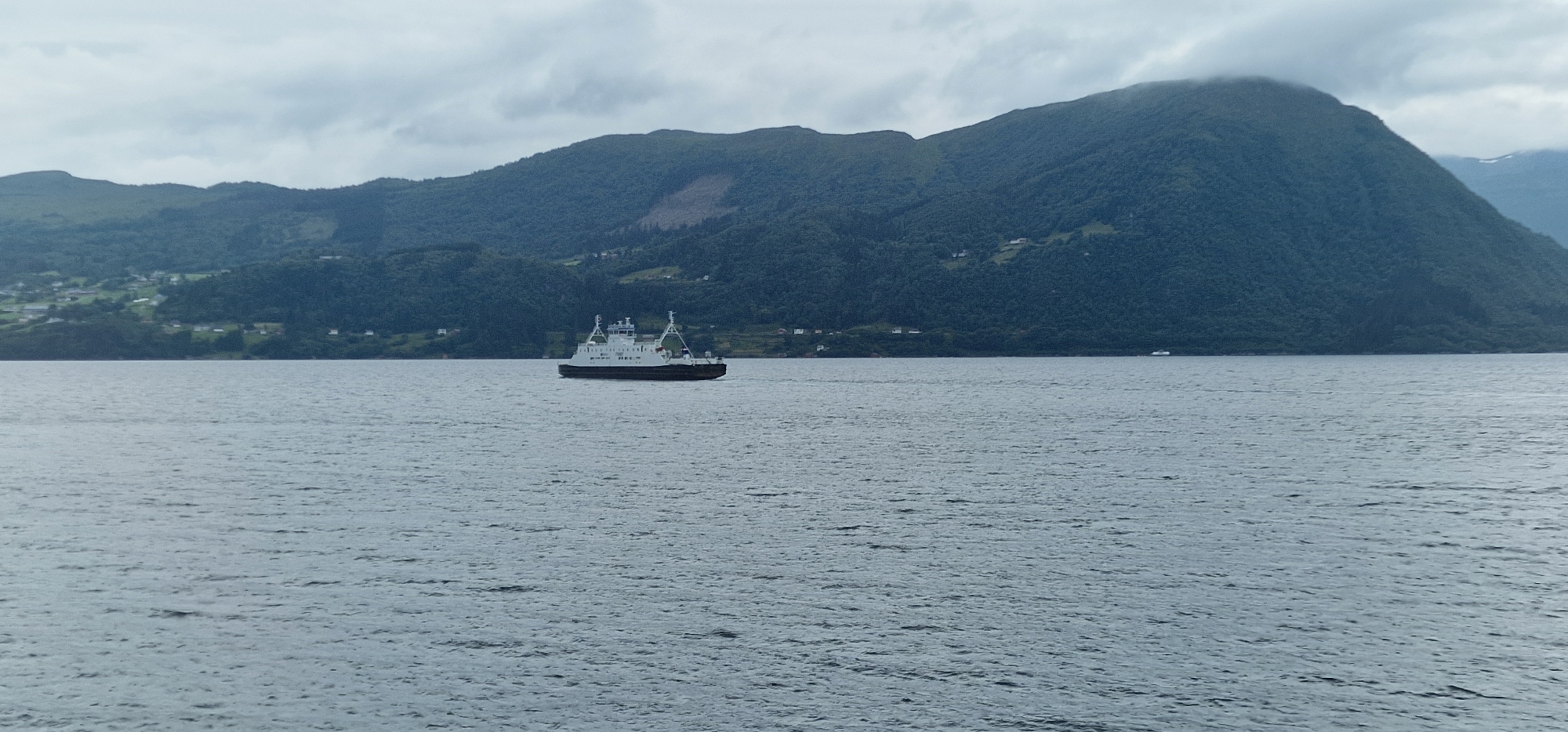 A wide-angle shot captures a ferry traversing a calm body of water, likely a fjord, with lush green mountains rising in the background. The sky is overcast, suggesting a temperate, perhaps cloudy, day in Volda, Norway. The water's surface is disturbed by gentle ripples, reflecting the muted tones of the sky.
The ferry, a prominent object in the middle distance, is white with a dark hull and features a multi-level superstructure, typical of a car ferry. It is moving from left to right across the frame. A smaller, white vessel is visible in the far distance to the right, near the shoreline.
The shoreline itself is densely forested with trees clinging to the slopes of the mountains. Scattered across the lower slopes are a few small buildings, indicating human habitation. The overall impression is one of serene natural beauty and the quiet rhythm of daily life in a coastal community. The time of day is indeterminate due to the overcast conditions. There is no visible text in the image.