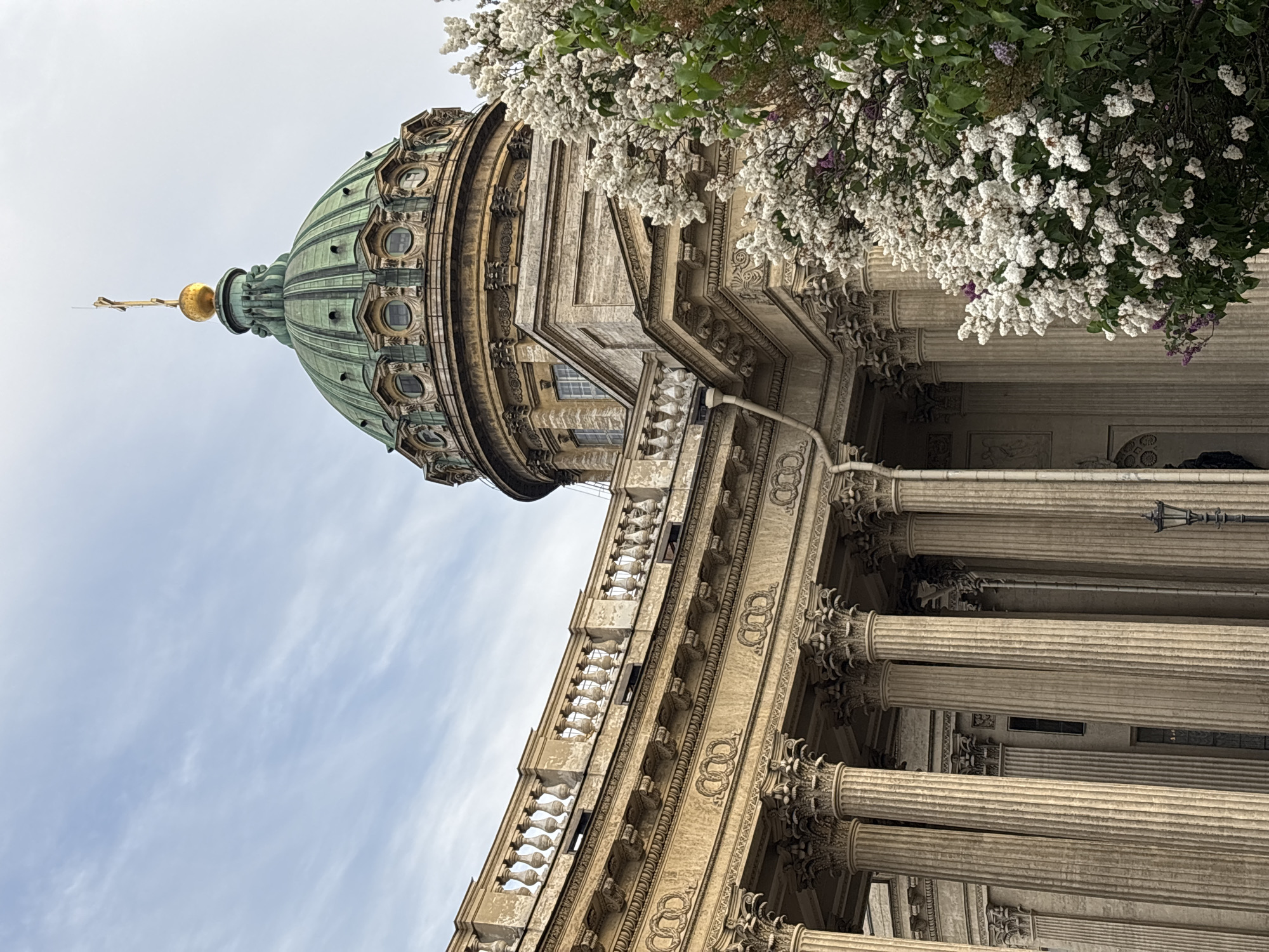 A low-angle, upright view captures a grand architectural structure, likely Kazan Cathedral in Saint Petersburg, Russia, under a bright, partly cloudy daytime sky. The dominant feature is a large, patinated green dome, topped with a golden finial that appears to be a cross. The dome is intricately detailed with vertical ribs and circular windows set into its lower section. Below the dome, the façade of the building is adorned with numerous tall, fluted columns featuring ornate capitals, forming a classical colonnade. Further architectural details include a balustrade and decorative friezes visible along the upper parts of the structure. From the upper right of the frame, a branch of a flowering tree, densely covered with small white blossoms (resembling lilacs) and green leaves, extends into the foreground, partially obscuring the building. There are no people or visible text in the image. The scene conveys a sense of majestic classical architecture in fair weather.