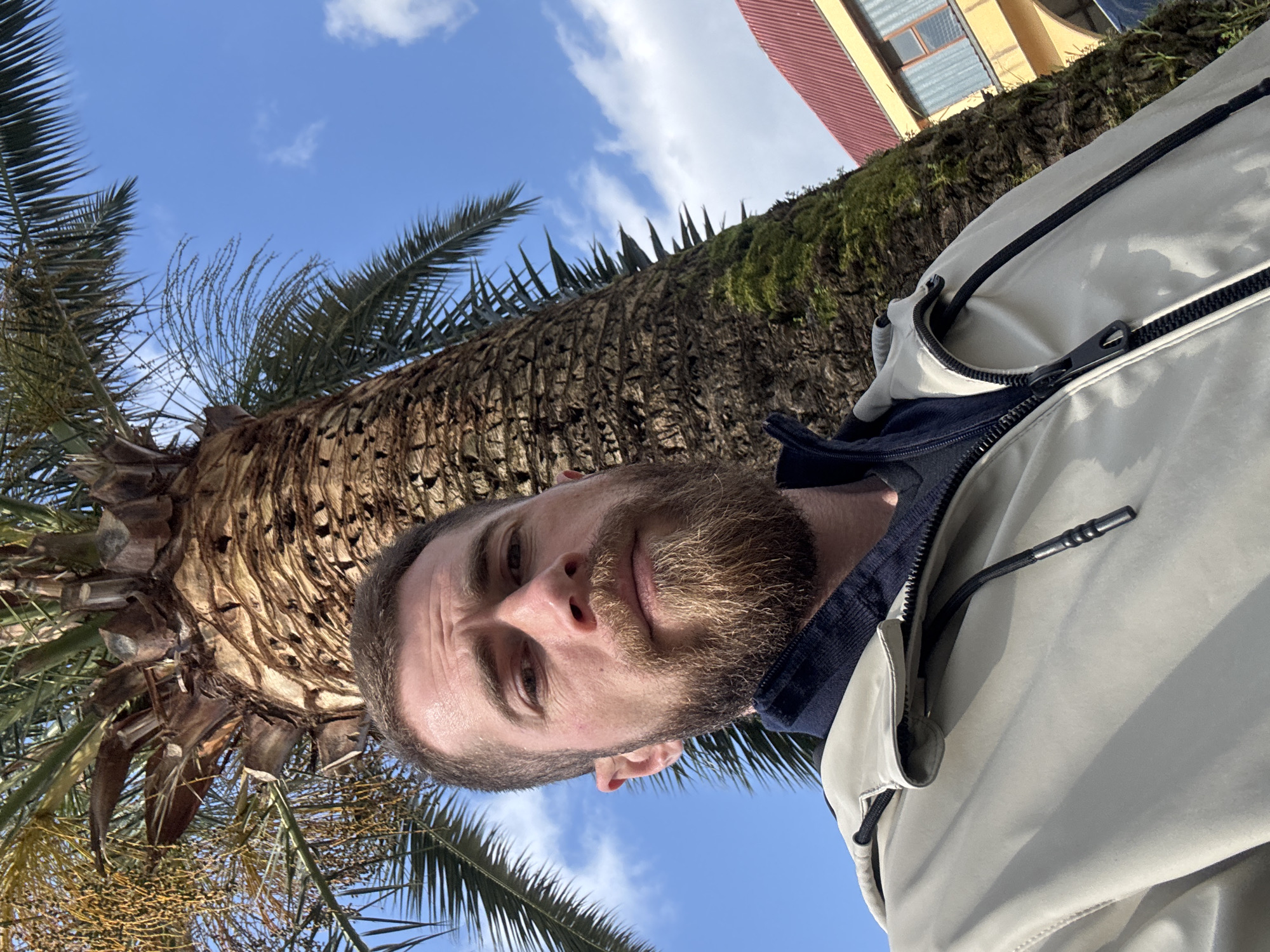 A selfie-style portrait depicts an adult male standing outdoors in Budva, Montenegro, captured from a low angle. The male, positioned in the lower-left to central portion of the frame, has short dark hair and a full, light-brown beard. He wears a light beige or tan hooded jacket with a black zipper and drawstrings, open over a dark blue collared garment and a darker undershirt. His expression is neutral, looking directly at the camera. Dominating the background is a tall palm tree with a thick, textured brown trunk, showing evidence of trimmed fronds and some green moss at its base. Clusters of yellowish fruit or seeds hang from the fronds at the top of the tree. To the right of the palm tree, a portion of a building with a red tiled roof and a yellow facade, including a visible window with horizontal slats, is present. The sky above is clear blue with scattered white clouds.