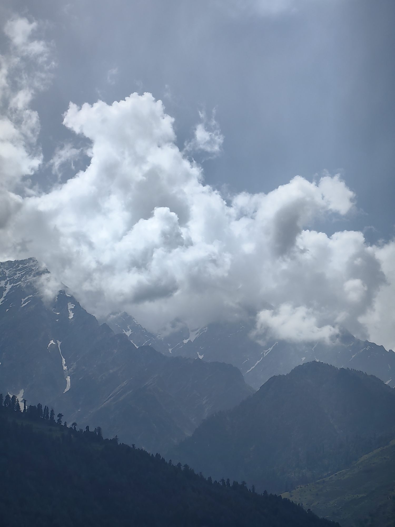 The vertical image captures a mountainous landscape under an overcast sky, consistent with the Vashisht region in India. The upper portion of the frame is dominated by a sky filled with large, white to light grey cumulus clouds, with patches of pale blue-grey visible between them. Below the cloud mass, a series of mountain ranges extends horizontally across the middle and lower sections. The foreground consists of dark, densely forested mountain slopes, rendered in deep blue-grey tones, with a discernible tree line of coniferous trees. Beyond these, mid-ground mountains exhibit rugged, rocky formations with visible patches and streaks of white snow, partially obscured by the descending cloud cover and atmospheric haze. No human activity, animals, or man-made structures are present. The lighting is diffuse, characteristic of a cloudy day, contributing to the cool, muted color palette.