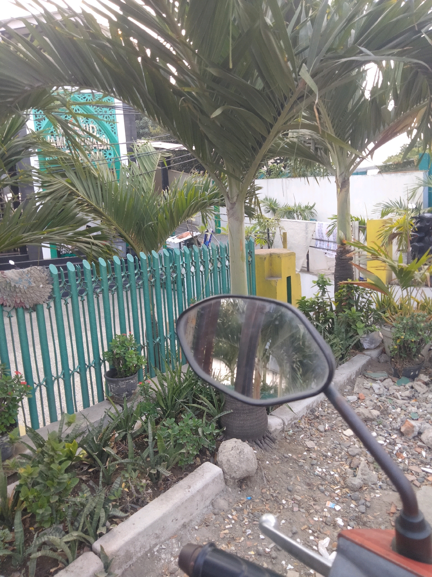 The image shows a view from a motorcycle in Sepatan, Indonesia, looking past a green metal fence towards a building. In the foreground, a motorcycle's rearview mirror reflects palm trees and the sky. Beyond the fence, there is a garden with potted plants and snake plants. A building with green and white architectural details, possibly a mosque, is visible in the background through the palm fronds. The ground is covered in gravel and debris, and there are several potted plants. The scene appears to be outdoors on a slightly overcast day.
