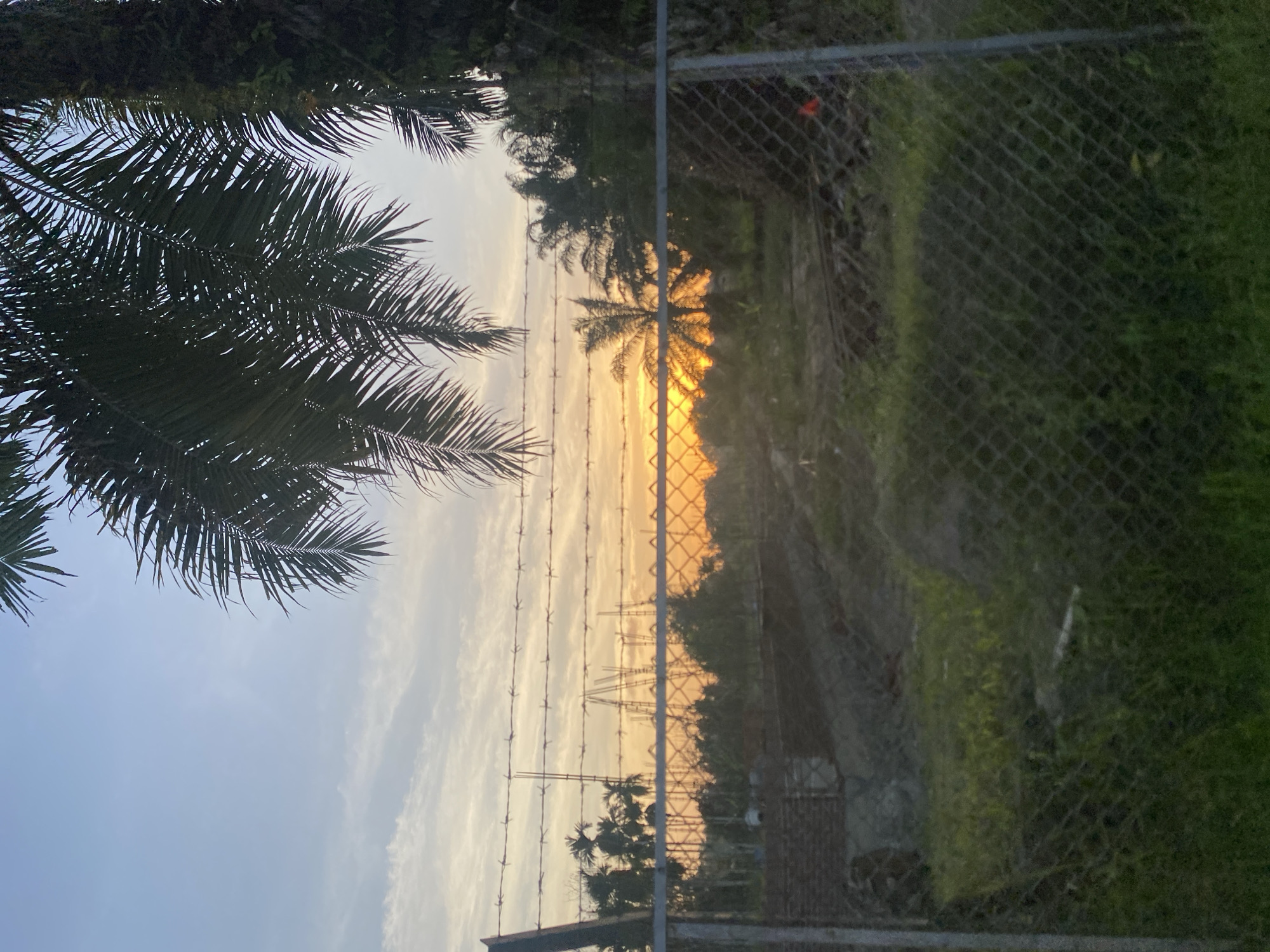 The image shows a view through a chain-link and barbed wire fence. The sky is visible in the background with a setting sun, partially obscured by palm trees. The location is likely Blang Mee, Indonesia, based on the prompt, although the visual information provides no explicit confirmation of this location. Vegetation is seen to the right of the fence, and a building structure is visible behind it. No people or actions are visible in the image.
