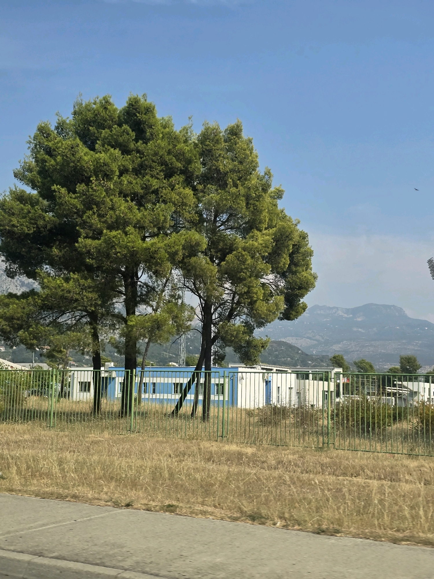 A wide shot captured on a sunny day shows a landscape with a building, trees, and mountains in the distance. In the foreground, a grey paved surface leads to a dry, grassy area bordered by a green metal fence. Behind the fence, a low-rise building with white walls and blue accents is visible. Several tall, green pine trees stand in front of the building, their branches lush and full. In the background, hazy mountains rise against a clear blue sky, with a single bird in flight near the top right. The scene appears to be located in a semi-urban or industrial area on the outskirts of Podgorica, Montenegro, given the presence of the building and the undeveloped land.