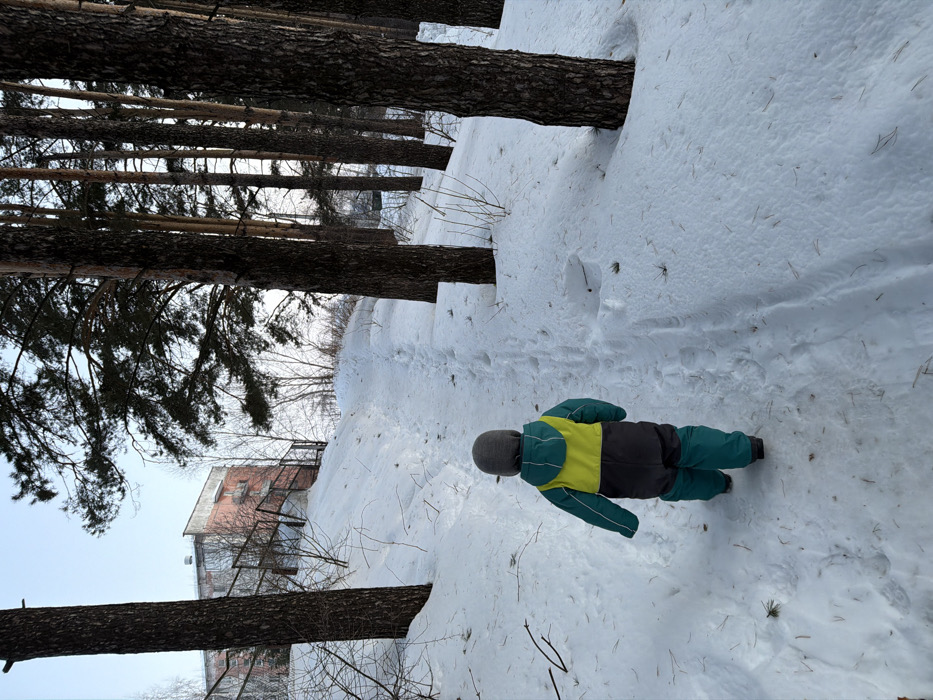 A single child, viewed from behind, is walking uphill on a snow-covered path through a pine forest in the city of Chaikovsky, Russia. The child wears a grey knit beanie and a multi-colored two-piece snowsuit: a teal jacket with a prominent yellow upper back and dark grey lower section, paired with teal trousers. The narrow path, marked by numerous footprints, ascends gradually between sections of undisturbed snow. Tall, dark-barked pine trees stand along both sides of the path, with a denser cluster on the right. In the background, atop the snowy incline and partially obscured by bare branches, a multi-story building with a faded reddish-pink facade and visible windows is discernible. A metal railing runs along the hillside leading towards the building. The sky above is clear and light blue, indicating daytime conditions. The entire ground is covered in white snow, signifying a winter environment.