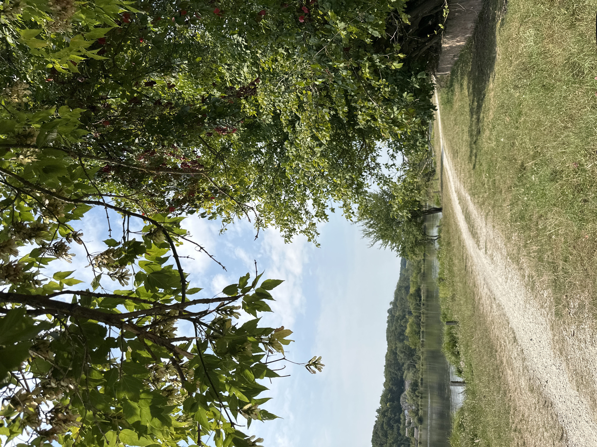 The image depicts a dirt road curving alongside a body of water, likely a river or lake. Dense green foliage from trees overhangs the scene from the right and the top. The road itself is composed of light-colored gravel and is bordered by dry, grassy terrain. In the distance, a tree-lined hillside rises, with some buildings visible amongst the trees. The sky is blue with scattered white clouds. The location is identified as Makiv, Ukraine. There are no people visible in the image.