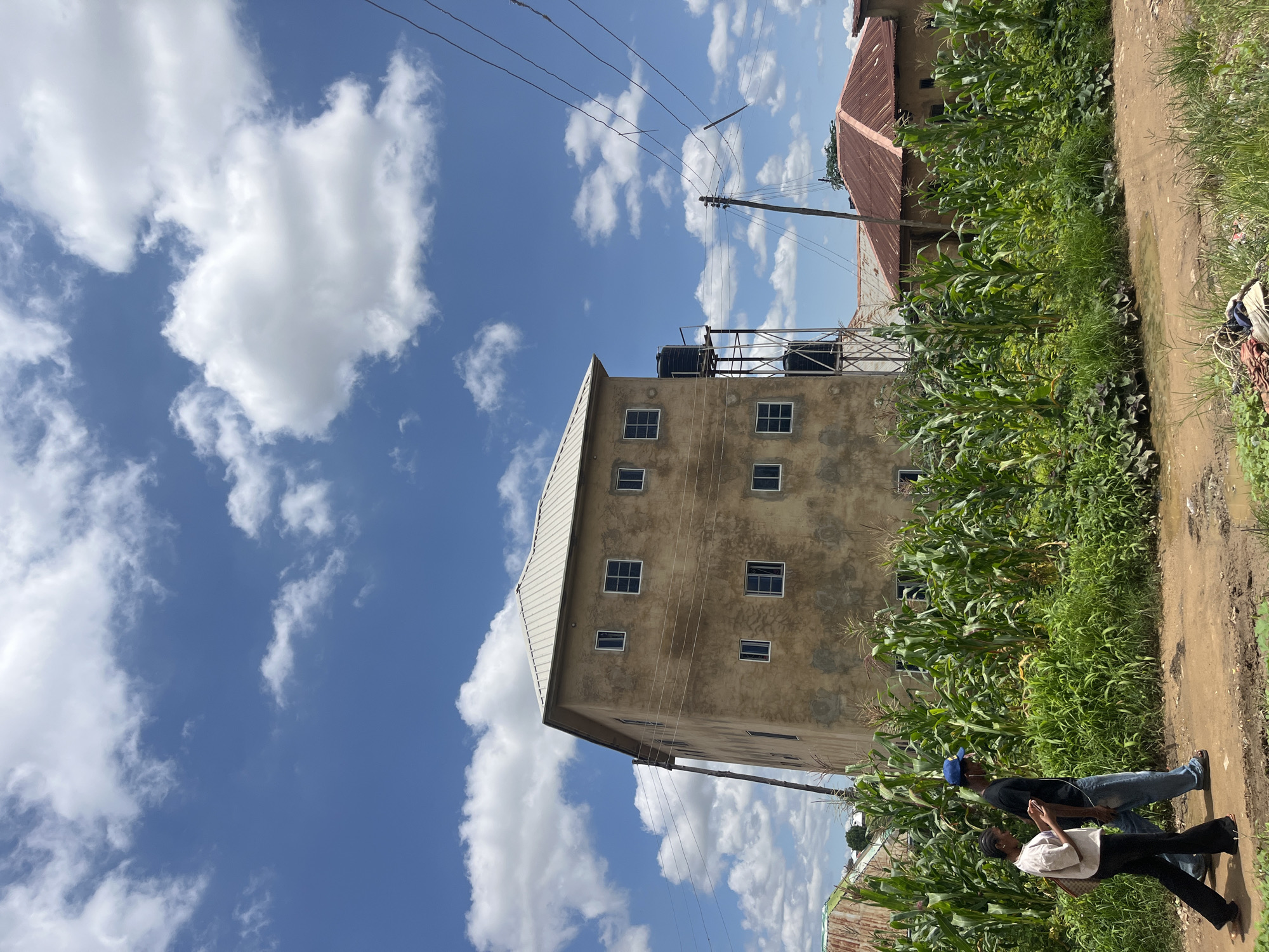 In Jos, Nigeria, a three-story building with a light-colored metal roof stands prominently, its tan facade showing signs of wear. The building has multiple windows, some open and some closed, with a water tank elevated on a metal structure beside it. In front of the building, a lush field of corn and other green vegetation grows tall. A dirt path runs alongside the vegetation, where two individuals are walking. The woman on the left is wearing a white t-shirt and dark pants, carrying a bag over her shoulder and looking at her phone. The man next to her, wearing a black t-shirt, blue jeans, and a blue baseball cap, appears to be listening to something with earbuds. To the right of the main building, another structure with a reddish-brown metal roof is partially visible, and overhead, power lines are strung between wooden poles. The sky above is a vibrant blue, dotted with scattered white clouds.