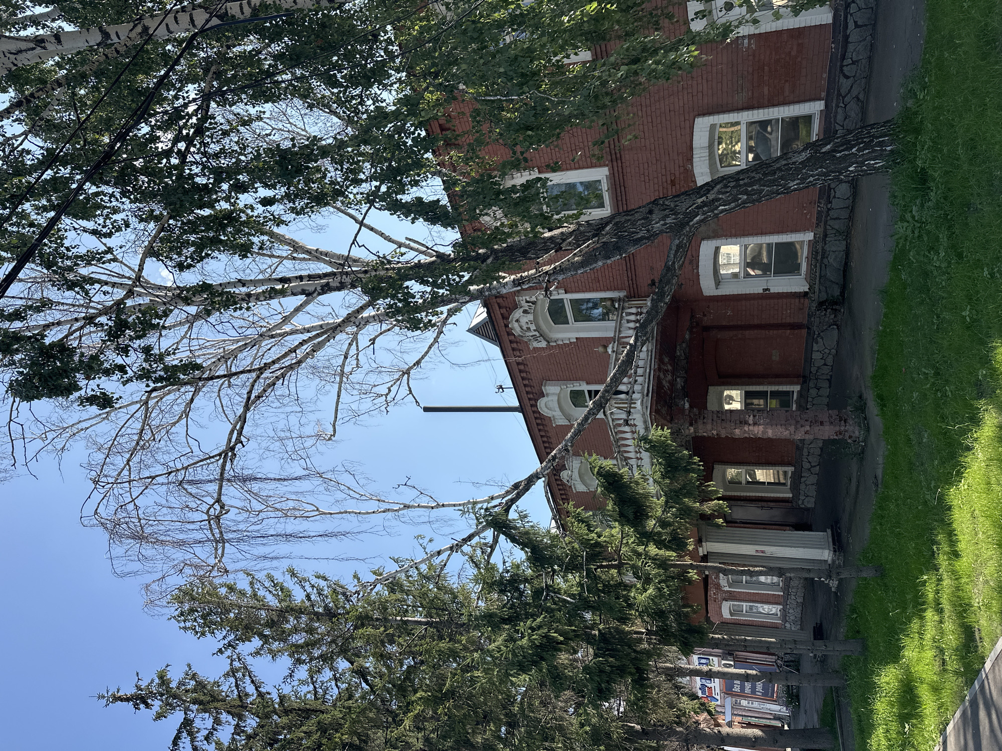 The image shows a two-story red brick building with white trim around the windows and a white balustrade extending from the front. A tall, thin chimney protrudes from the roof. Several trees, including evergreens and a birch tree, are in the foreground and obscuring parts of the building. The building is situated on a street with a paved sidewalk and a grassy area in front of it. The sky is clear and blue. The building is located at 20 Malygin Street in Biysk, Russia.