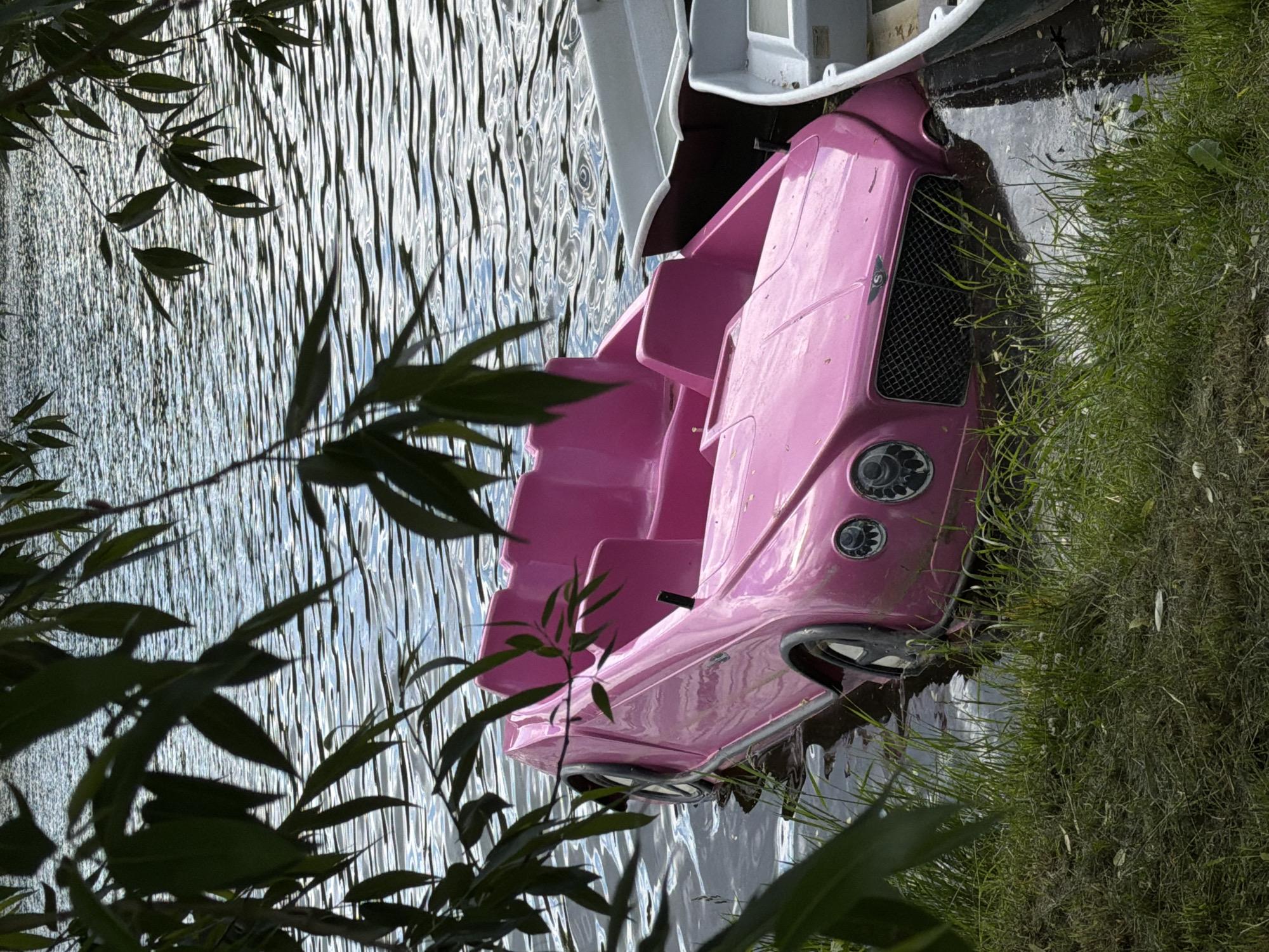 A pink pedal boat, styled to resemble a Bentley automobile, is partially submerged in water adjacent to a grassy shoreline in Malakhovka, Russia. Leaves from nearby trees obscure the view, adding a layer of natural overgrowth to the scene. The surface of the water appears rippled, indicating movement, possibly from a breeze. No people are visible in the image.