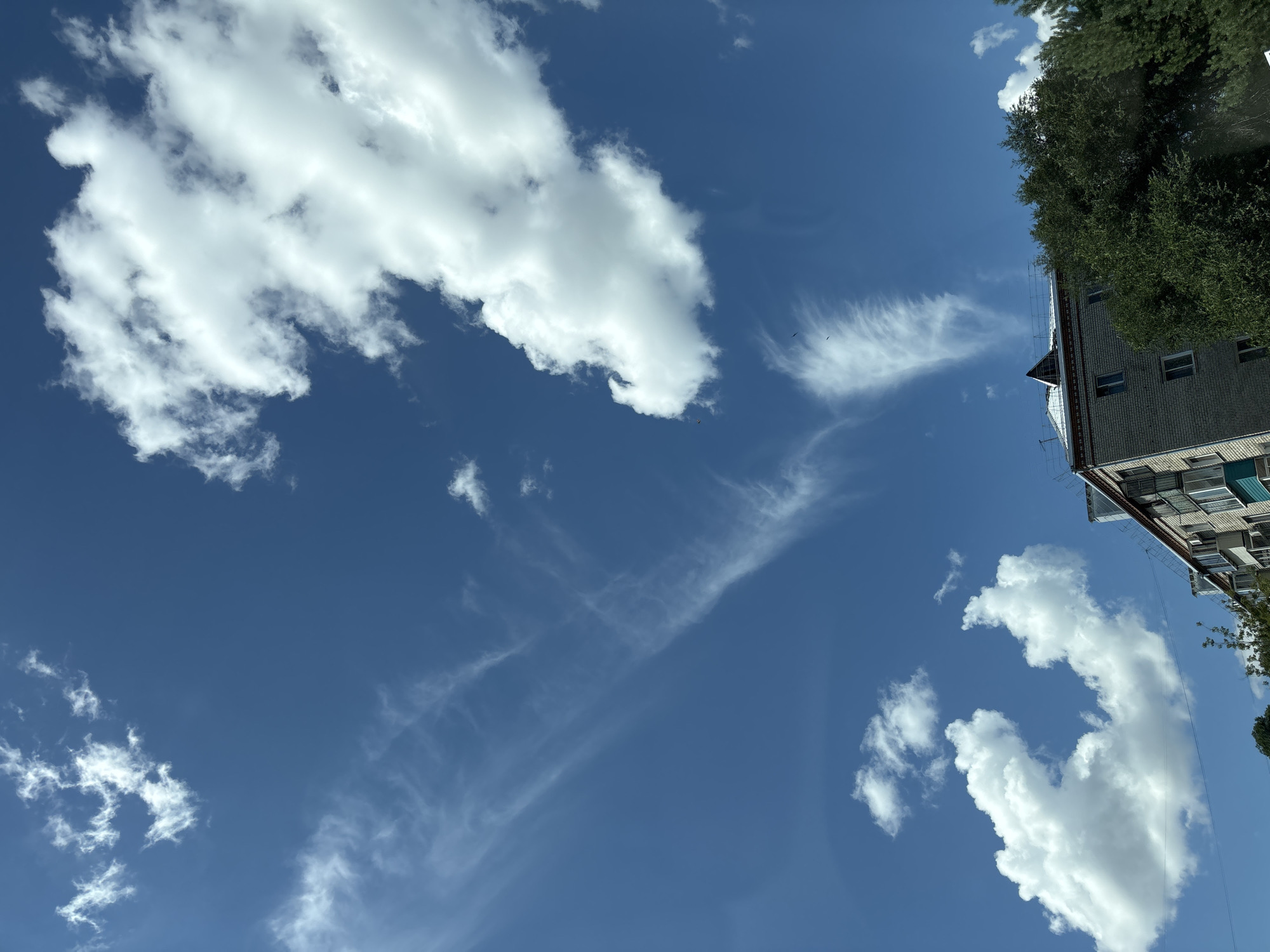 The image shows a bright blue sky filled with various clouds, including fluffy cumulus clouds and wispy cirrus clouds. In the lower right corner, a portion of a multi-story brick building is visible, partially obscured by lush green trees. The building appears to be an apartment complex with multiple windows. The scene suggests a clear day with pleasant weather. The context of Blagoveshchensk, Russia, indicates an urban environment.