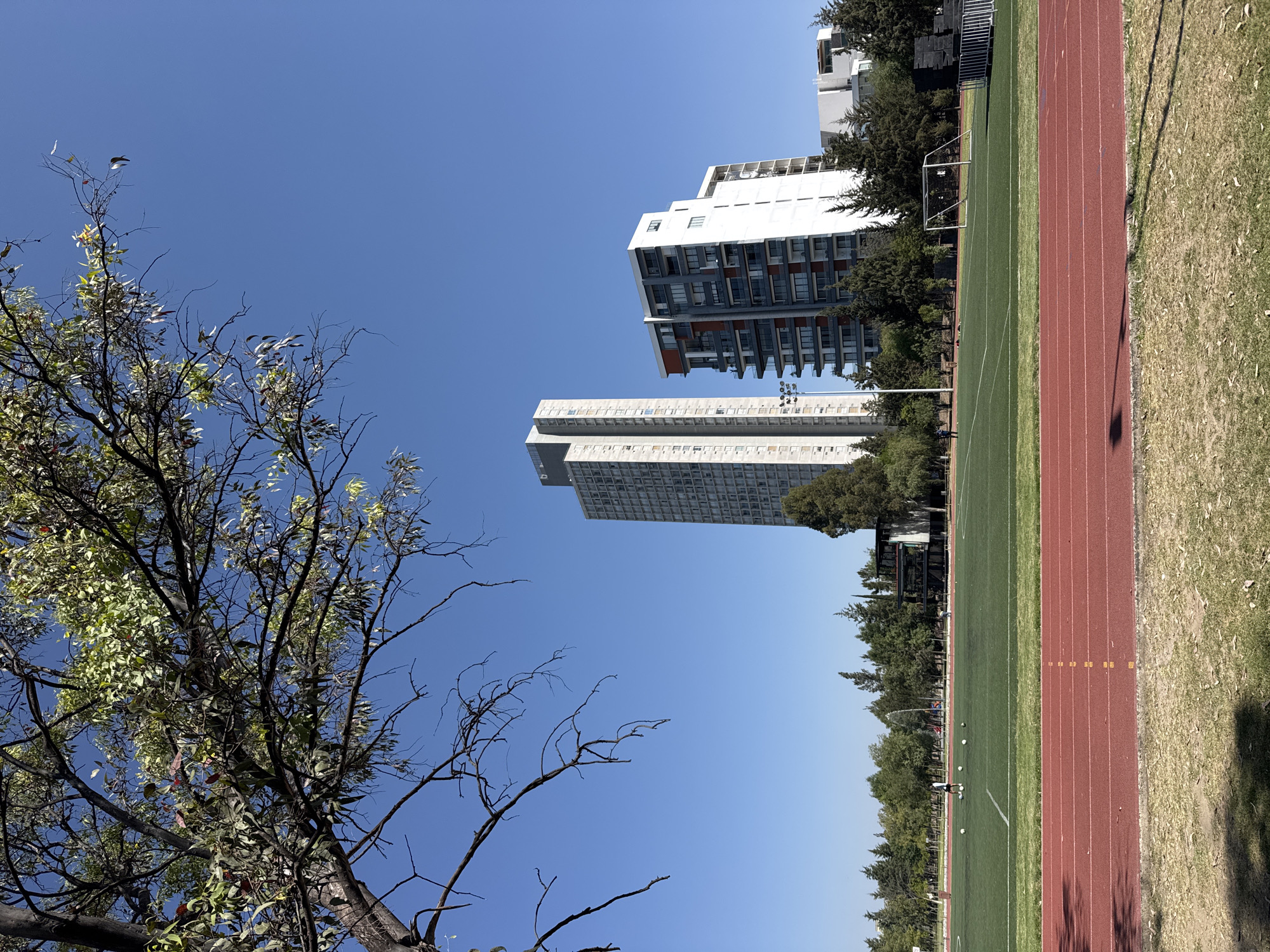 The image displays an outdoor athletic complex under a clear blue sky, identified as the sports facilities of Tecnológico de Monterrey, Campus Puebla, in Puebla, Mexico.
In the foreground, a red synthetic running track with yellow lane markers spans horizontally across the lower portion of the frame. Shadows from unseen objects, including tree branches, are cast upon the track and the dry, sparse grass immediately in front of it.
Beyond the track, a green artificial turf soccer field is visible. Multiple white soccer balls are scattered across the field. A single individual, dressed in white shorts and a dark shirt, stands on the field in the mid-left portion, facing towards the right side of the frame, near the soccer balls. A white soccer goal is positioned on the right side of the field.
A line of dense coniferous trees and some deciduous trees borders the far side of the athletic field. Through these trees, portions of various buildings are observable. In the background, two prominent modern high-rise buildings are visible. The left structure is a tall, slender tower, light gray in color with numerous rectangular windows (Torres JV). To its right stands a shorter, wider building featuring a contemporary design with white, dark gray, and reddish-brown facade panels, equipped with multiple balconies (Torre 4099). Other smaller, white buildings are partially visible further to the right. A tall light pole with floodlights is also visible between the field and the buildings.
The upper portion of the frame is dominated by a clear, bright blue sky. The top left corner of the image is partially obscured by the dark, bare branches and sparse green and reddish foliage of an overhead tree.