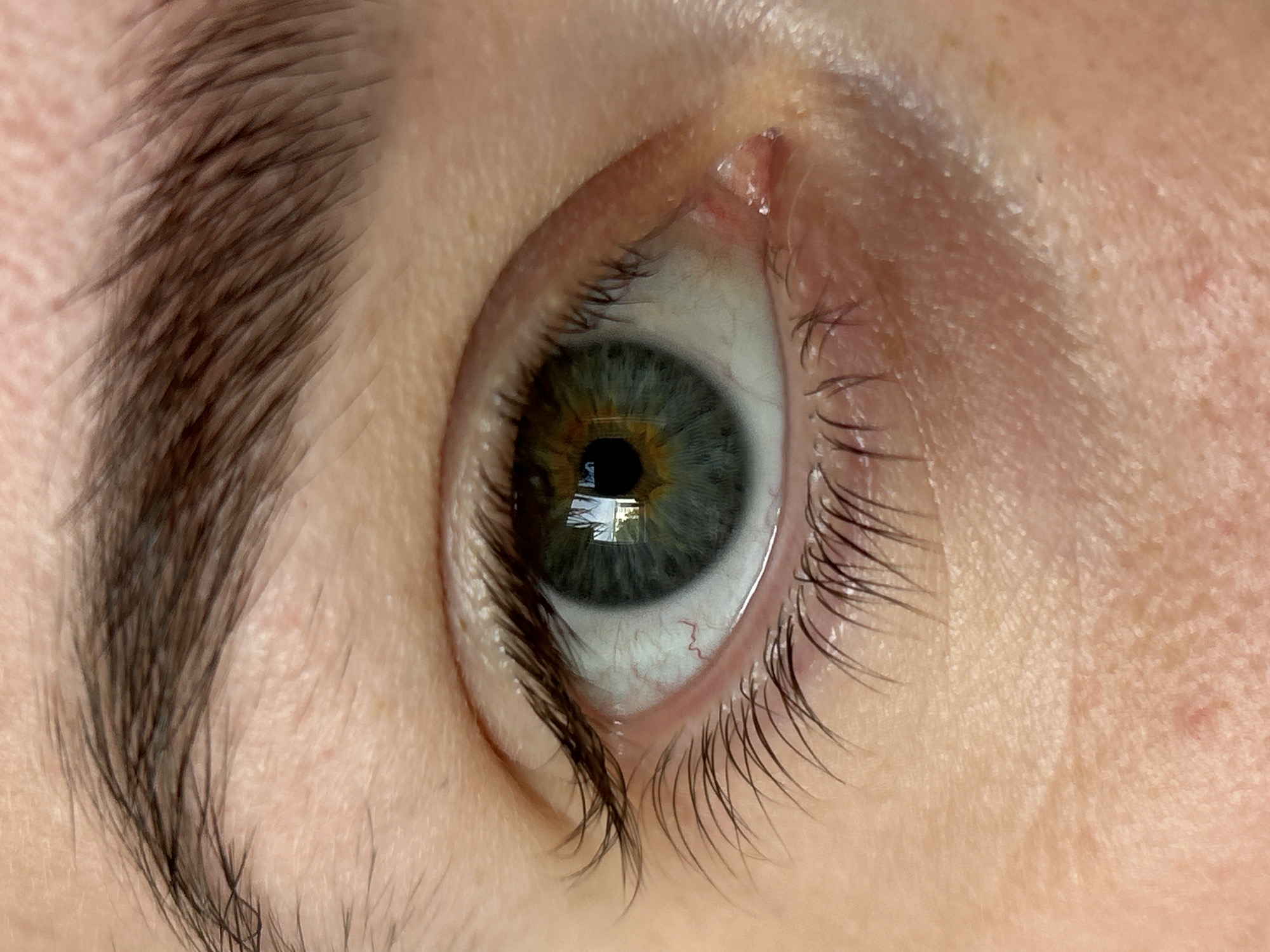 The image is a close-up of a human eye, likely from a female individual. The iris displays a heterogeneous coloration, with a prominent golden-brown ring surrounding the pupil, transitioning to a bluish-green periphery. The sclera appears clear, with minimal vascularity except for a small cluster of blood vessels visible towards the lower-right quadrant. Eyelashes are present on both the upper and lower lids, appearing dark in color. The skin surrounding the eye is fair, showing fine lines and textural details. The eyebrow is thick and well-defined. A faint reflection of a building is visible on the cornea. It is impossible to determine the exact location in the city of Chaikovsky, Russia from the image alone.