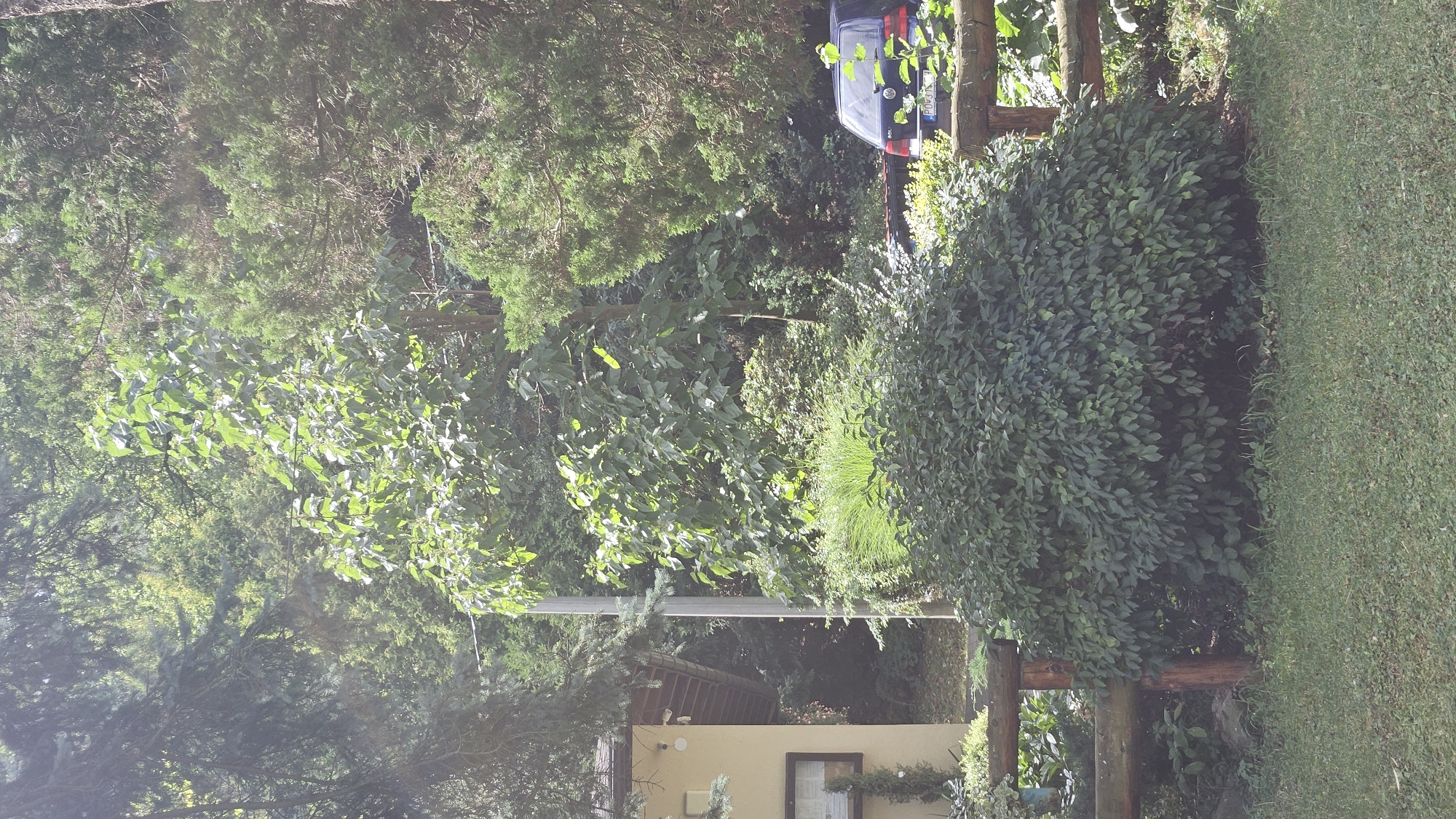 The image depicts a natural outdoor scene, possibly a garden or park area, with lush vegetation and a building. A dark-colored car, a Volkswagen Golf with a Slovakian license plate "PO V310", is parked on the right side of the frame, partially obscured by foliage. The building on the left appears to be a house or a smaller structure, painted yellow with a brown roof. There are no people visible in the image. The environment suggests a temperate climate with mature trees and shrubs. The specific location in the city of Prešov, Slovakia, cannot be determined solely from the visual information provided in the image.