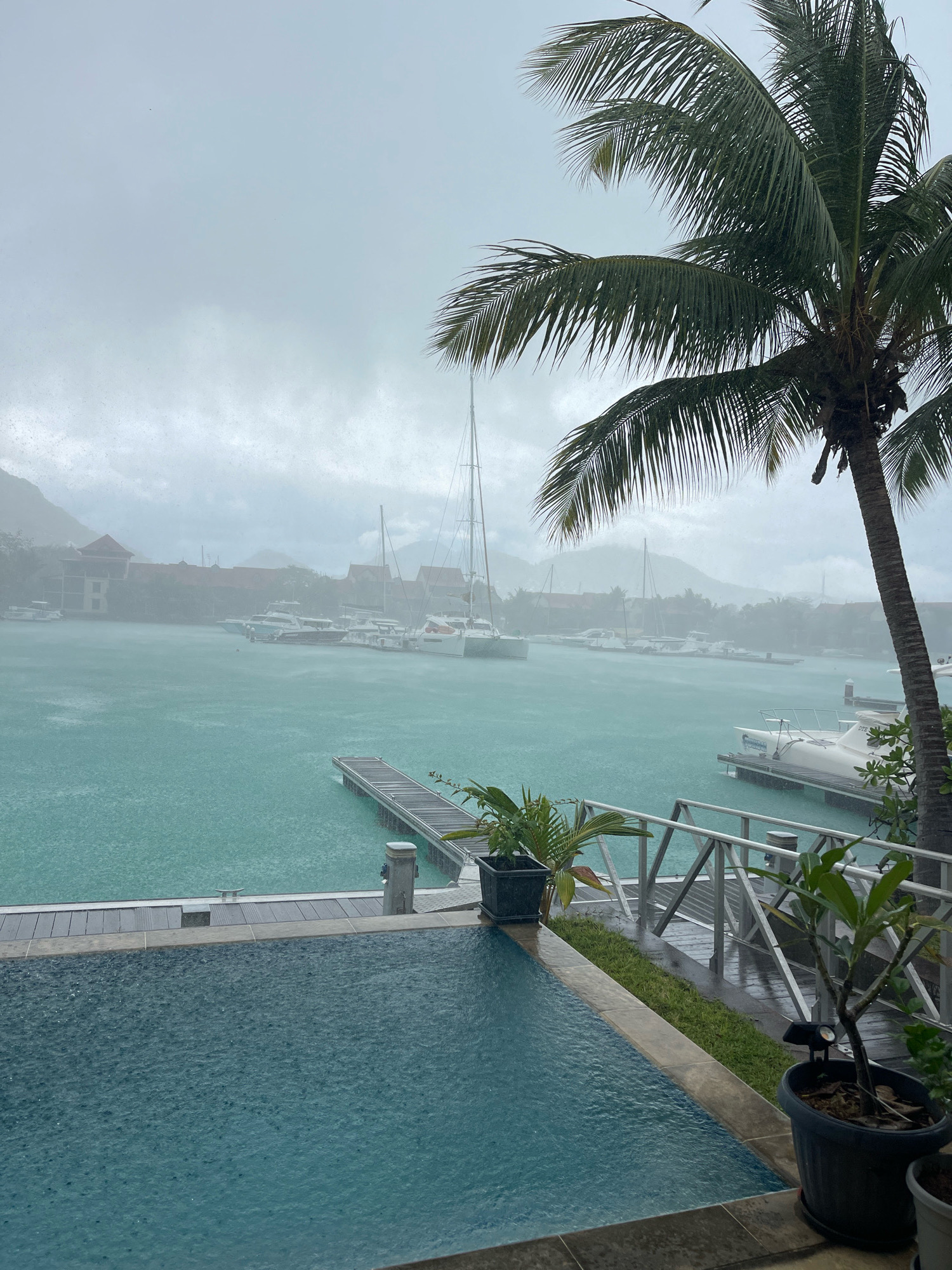 This image captures a heavy rain shower over a marina in Providence, Seychelles. In the foreground, a turquoise swimming pool is being disturbed by falling raindrops. Adjacent to the pool, a wooden deck leads to a metal railing overlooking the water. Further out, a wooden jetty extends into the sea. The marina is filled with various boats, including sailboats and yachts, docked in the bright turquoise water. In the background, buildings with a reddish-brown facade and architectural elements suggesting a resort or residential complex are visible. The sky is overcast and grey, with a palm tree in the foreground framing the scene. The overall atmosphere is one of a tropical downpour, with the rain creating a hazy effect and adding texture to the water's surface.