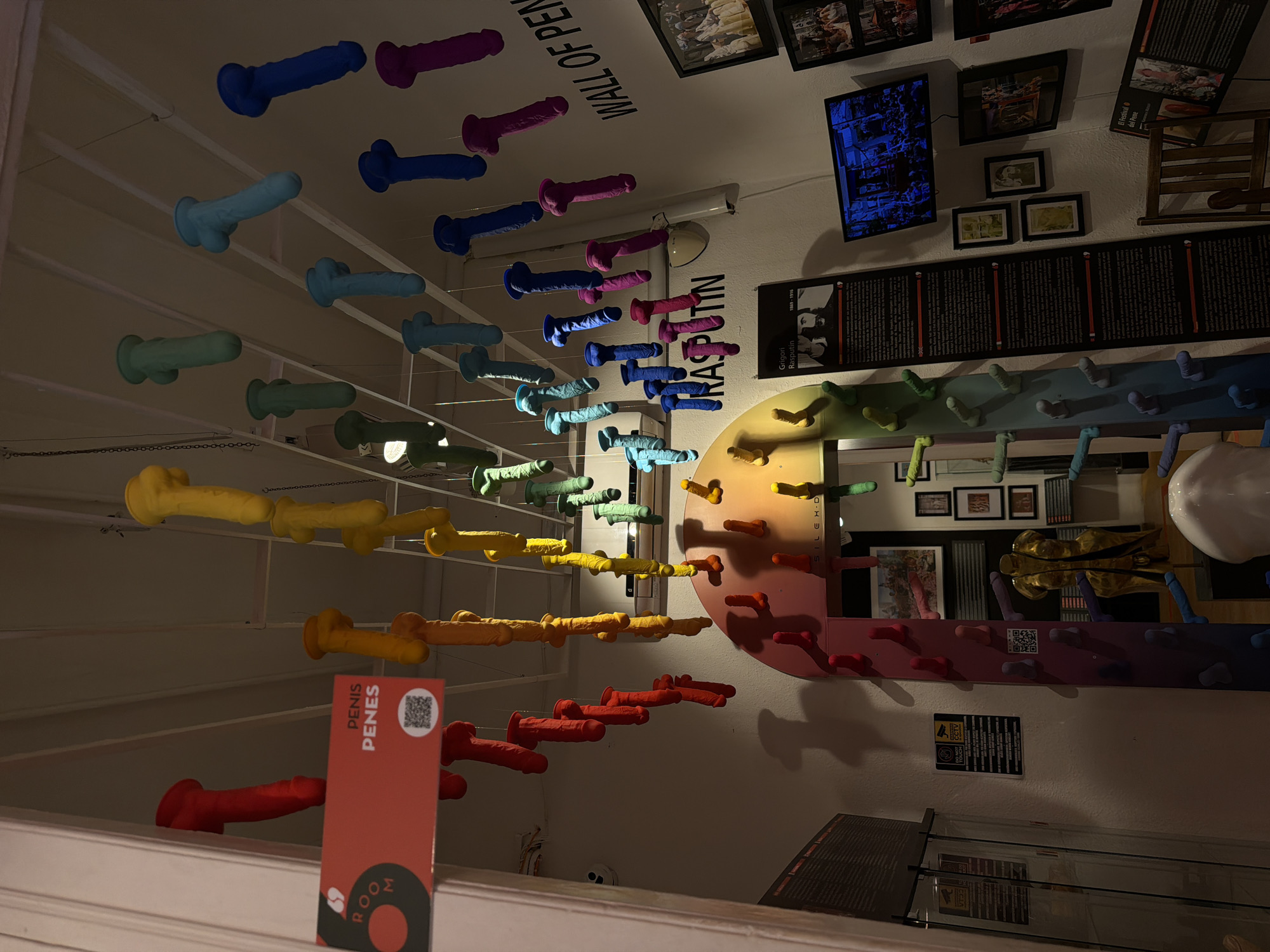 Here's a forensic description of the image:
**Scene:** Interior of a museum or exhibit space, likely located in Barcelona, Spain.
**Objects:**
* Numerous colorful dildos suspended from the ceiling on wires, arranged in a spectrum-like pattern.
* A sign with the words "PENIS PENES" and a QR code, suggesting a point of interest or information within the exhibit.
* A wall display with the text "WALL OF PEN" (partially obscured).
* A wall display with the text "RASPUTIN".
* Framed pictures and text panels on the wall with the text "El Festival del Pene".
* A television screen.
* A climbing wall.
* A shelf with a CCTV sign.
**Subjects:**
* The primary subject is the arrangement of dildos.
**Environment:**
* The space is well-lit.
* The environment is suggestive of a provocative or sexually-themed exhibit.
* The general scene appears to be a museum exhibit.