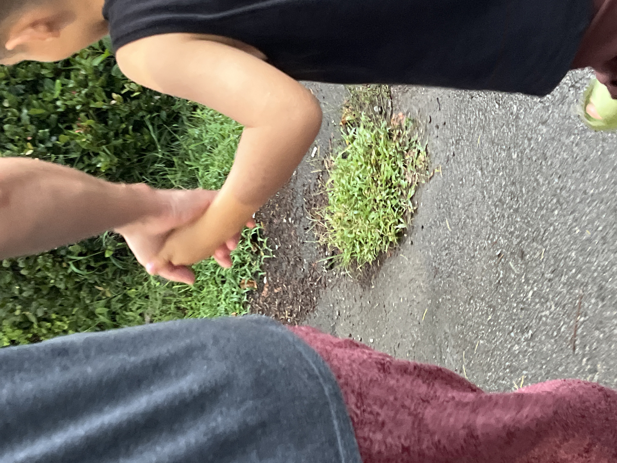 This is a close-up, vertical, medium shot of two individuals, an adult and a child, holding hands while walking on a wet, asphalt surface. The adult, on the left, is wearing a dark gray t-shirt and maroon pants. The child, on the right, is wearing a black sleeveless shirt. Their hands are clasped in the center of the frame. The background is filled with lush green foliage, suggesting an outdoor, possibly park-like or residential setting. The ground appears damp and textured, with some scattered debris and patches of grass. The lighting is soft and diffused, indicating an overcast day or an area with shade. The Ureki, Georgia location is not discernible from the visual elements in the image.