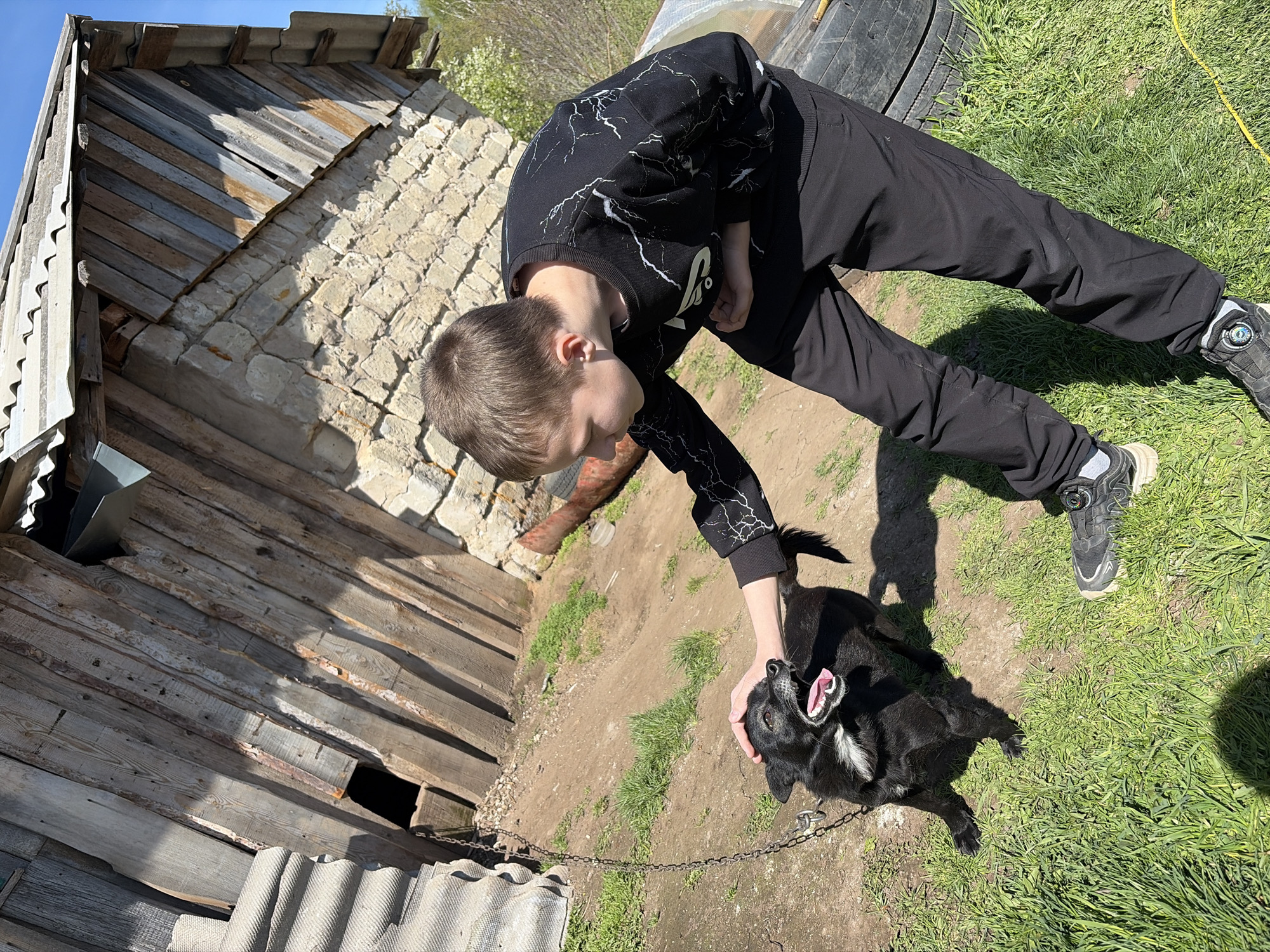 In Чумна, Russia, a young individual wearing a black sweatshirt with white lightning bolt patterns and black pants is bending over, with their hand on the head of a black dog with white markings. The dog is panting, with its mouth open. The scene is outdoors, with a dilapidated wooden structure and a brick wall in the background. A tire and some vegetation are also visible in the background, with grass covering part of the ground. A chain leash is attached to the dog's collar.