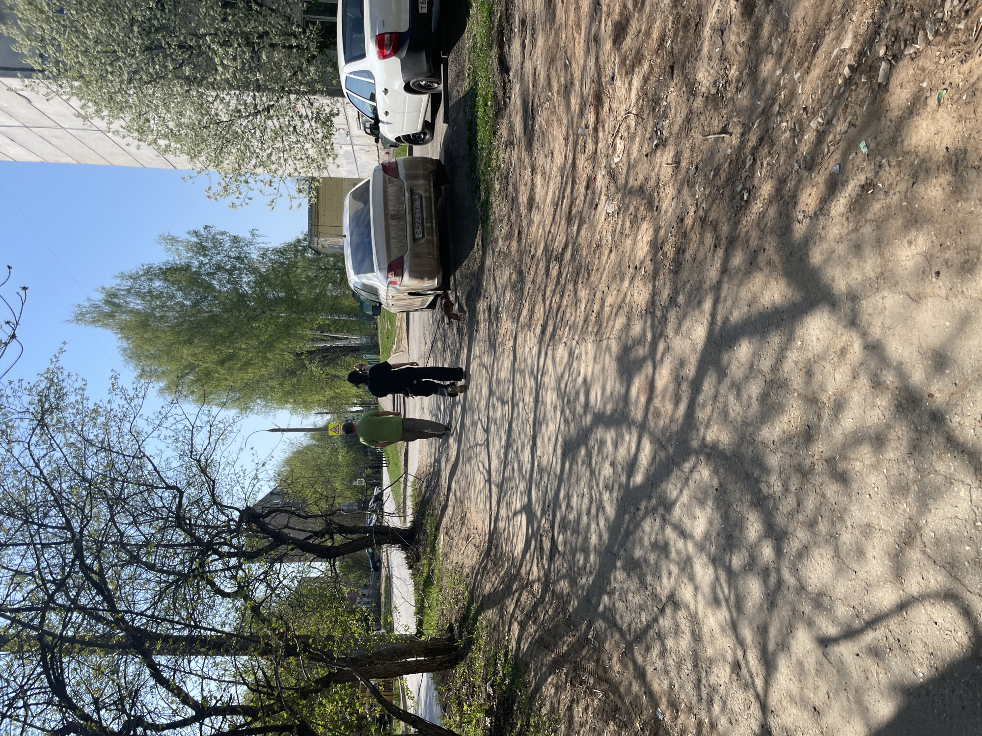 The image depicts a street scene in Izhevsk, Russia. Two people, one in a green shirt and the other in black, are walking along a dirt path. A small dog is also present, leashed to the person in black and near a parked, dirty grey car with a license plate number C422TY 18. Next to the gray car, a white car is parked. Tree shadows fall across the path. Bare trees line the other side of the path, with a street and buildings visible in the distance. A street sign is seen on the right. The weather appears sunny, with a clear blue sky visible.