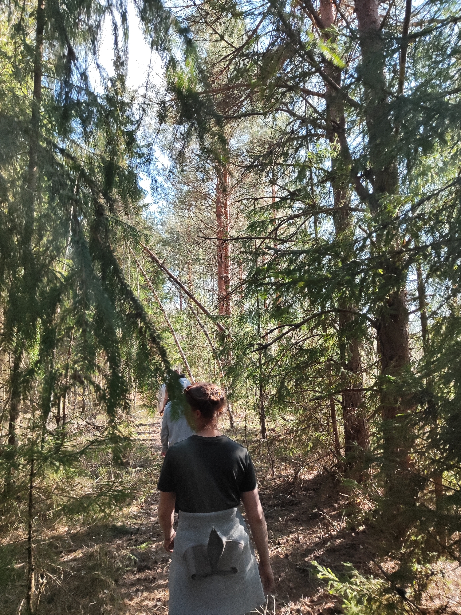 A medium-shot photograph captures a group of three individuals walking along a path in a sun-dappled forest. The nearest figure, a woman with her auburn hair tied up, is seen from the back, wearing a dark t-shirt and a light-colored garment tied around her waist. The other two figures, further ahead, are partially obscured by the dense trees and branches. The forest setting is characterized by tall, slender trees with green foliage, and a ground covered with fallen leaves and sparse vegetation. Sunlight filters through the canopy, creating a play of light and shadow on the forest floor. The location in the city of Unknown, Unknown cannot be determined from the given image.