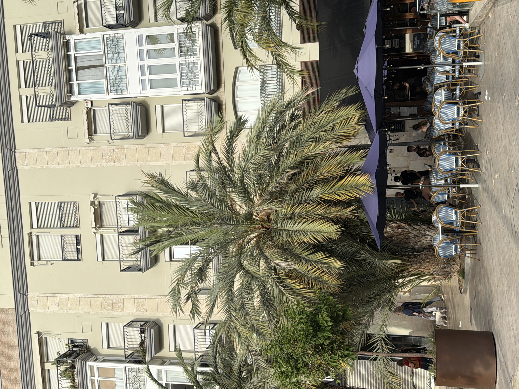 A wide shot captures a palm tree in the foreground with a light yellow building in the background, featuring several balconies with black railings. The building has numerous windows with light-colored blinds. In the mid-ground, a white dog is being walked by a person with curly brown hair wearing a dark top and patterned pants, walking from right to left. To the left of the dog walker, another person in a red top walks towards the left. Further to the right, there is an outdoor seating area with blue and white chairs and tables under two dark blue umbrellas. Several people are seated or standing around the tables, some appearing to be musicians. String lights hang over the seating area, and a sign for "Mahou" beer is visible on the building behind the seating. The ground appears to be paved with stone or concrete.