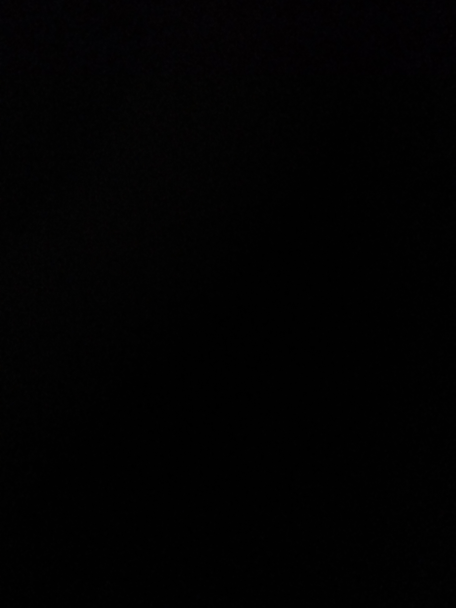 This media file is a completely black image. There are no subjects, objects, scenes, activities, notable details, or visible text. The image appears to be an accidental capture or an intentionally blank file.