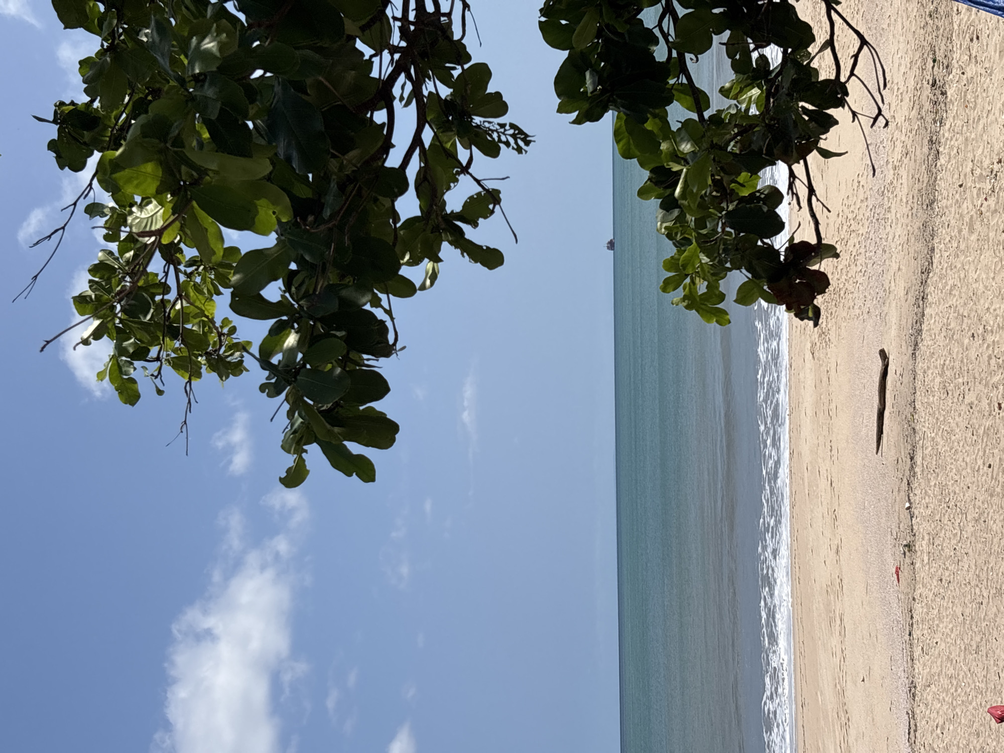 The image shows a beach scene, possibly in Kuta, Indonesia, characterized by a sandy shore, a body of water (likely the ocean), and a partly cloudy sky. The image is framed by leafy branches of a tree in the foreground. The ocean appears calm, with small waves breaking on the shore. A long shadow or object stretches towards the sea.