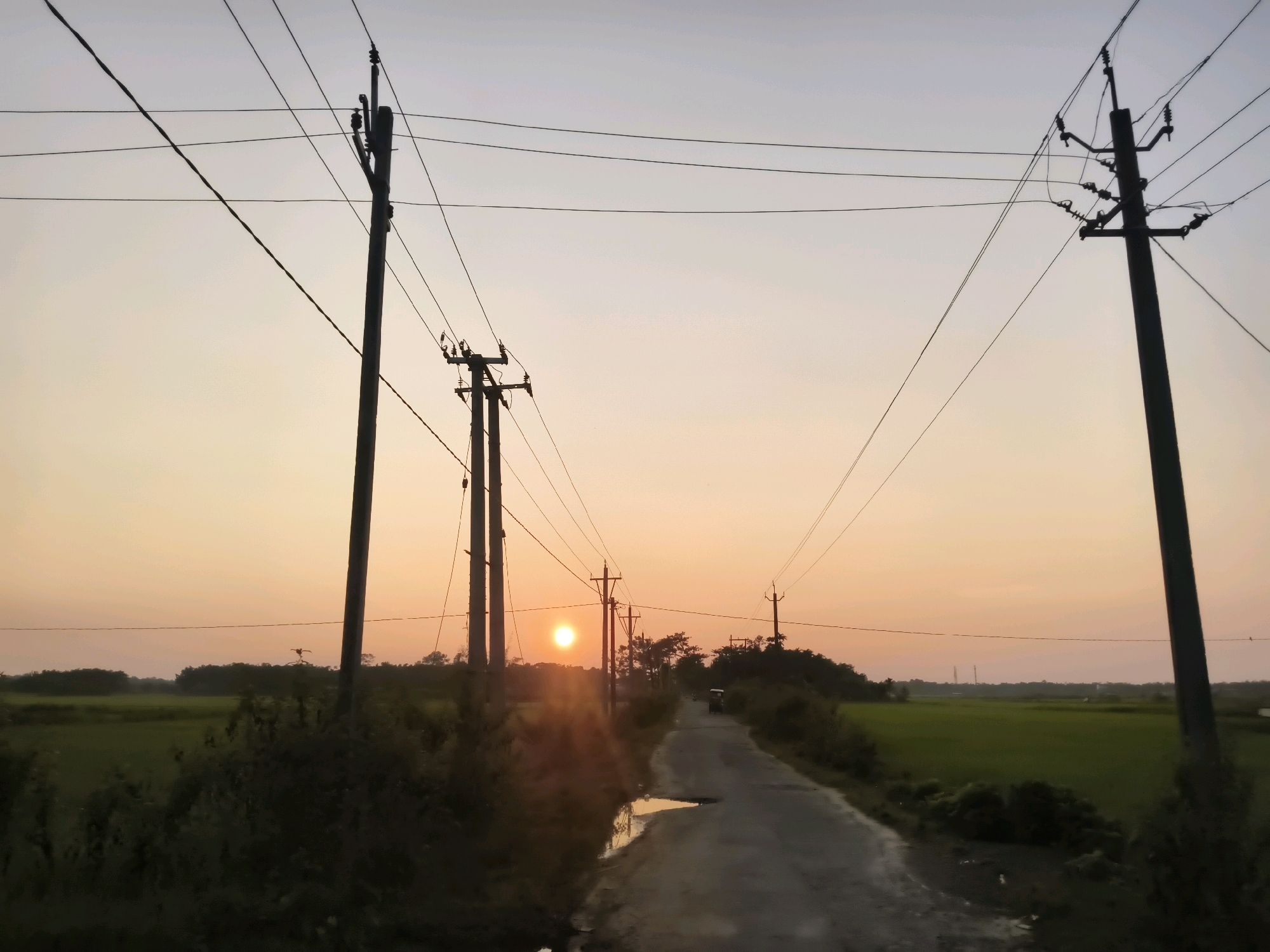 The image captures a rural road in Lala, India, during sunset. The sky is a gradient of soft orange and pale yellow, with the sun visible as a bright, slightly diffused orb low on the horizon. The road, paved and slightly wet, curves into the distance, flanked by lush green fields on either side. Telephone poles with their network of wires stretch across the frame, silhouetted against the sky. Some vegetation, including trees and bushes, lines the edges of the road. A small puddle reflects the warm light of the sunset on the road's surface. In the distance, a vehicle is faintly visible on the road. The overall impression is one of tranquility and the end of a day in a rural Indian landscape.