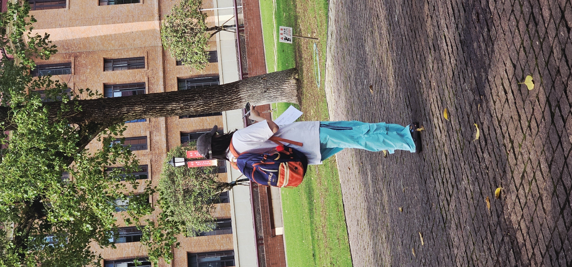 A young woman wearing a hat, white shirt, bright blue cargo pants, and a backpack stands on a cobblestone walkway, looking at her phone. She is holding papers in her other hand. The walkway is lined with grass on one side and an old brick building on the other. A large tree is next to her, partially obscuring the building. A sign is visible on the grass near the tree. Fallen leaves are scattered on the walkway. The scene appears to be outdoors on a sunny day. The location is likely the Yuzhong District, China, based on the brick building style and general environment.