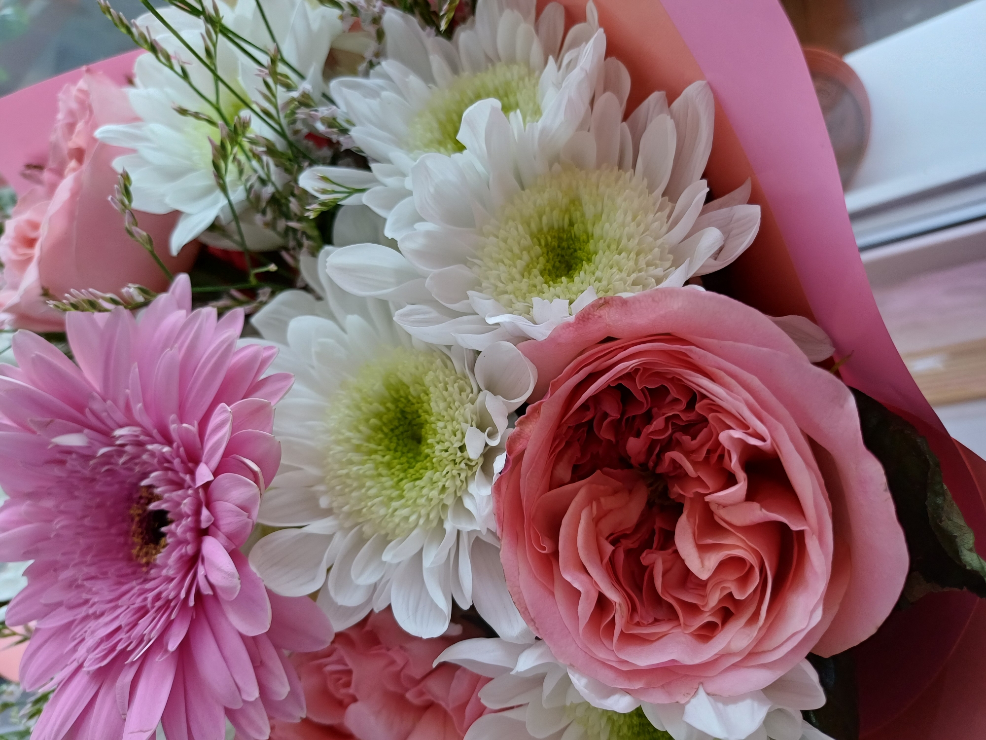 A close-up shot showcases a vibrant bouquet of flowers, artfully arranged and partially wrapped in pink and dark red paper. The bouquet features a variety of blooms, including bright pink gerbera daisies with their characteristic ray florets and dark centers, and fluffy white chrysanthemums with pale green centers. A large, fully bloomed pink rose with many delicate petals is a prominent element, its rich color and intricate form drawing the viewer's eye. Subtle green foliage and thin, wispy filler flowers add texture and depth to the arrangement. The lighting suggests it could be daytime, possibly near a window, given the soft, natural light and subtle reflections. The overall impression is one of beauty and a celebration of nature's artistry. There are no people visible in the image, nor any text. The setting is a close-up view of the bouquet, with hints of a window or surface in the background.