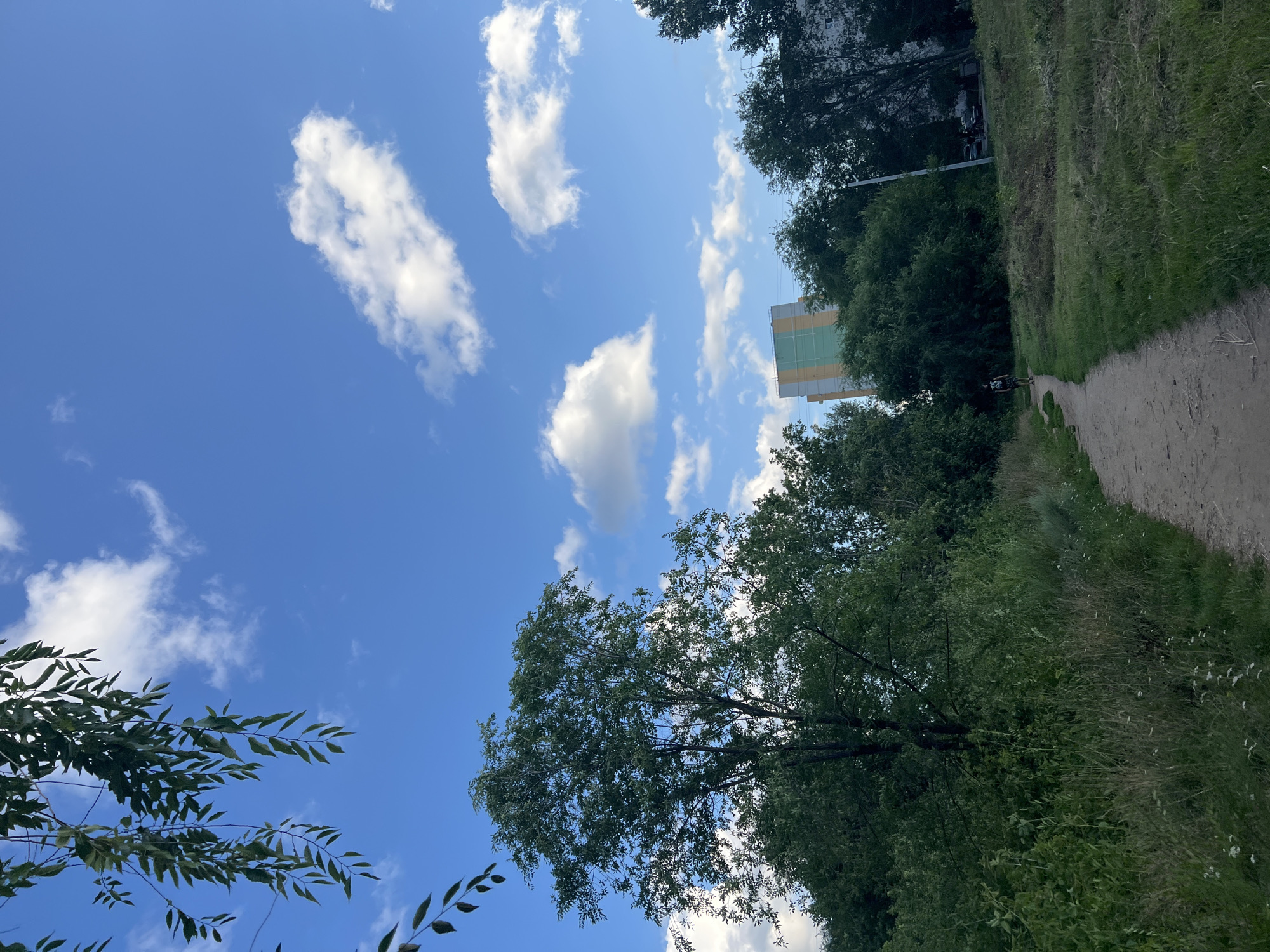 The image depicts a dirt path leading through a grassy area towards a dense line of trees. A single person is walking away from the camera on the path, silhouetted against the background. In the distance, a multi-story building with yellow and green vertical accents is visible above the trees. The sky is bright blue with scattered white clouds. The scene appears to be a park or a recreational area within the city of Ulyanovsk, Russia, possibly near residential buildings. The foliage suggests a summer or late spring setting.