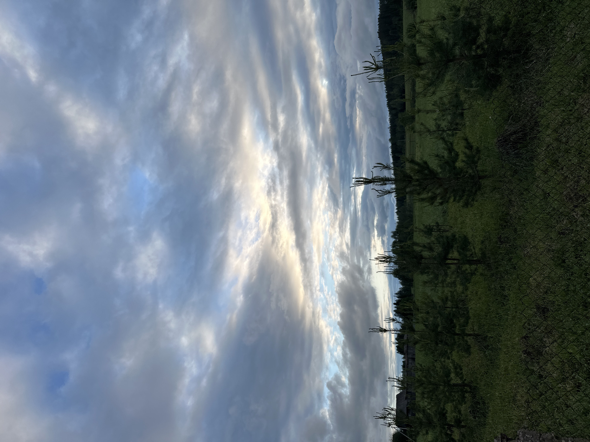 The image shows a landscape in Среднее Кечево, Russia, with a sky filled with striated clouds, ranging in color from white to gray. The horizon line includes a line of trees, and a field visible behind a chain-link fence. Some young pine trees are in the foreground.
