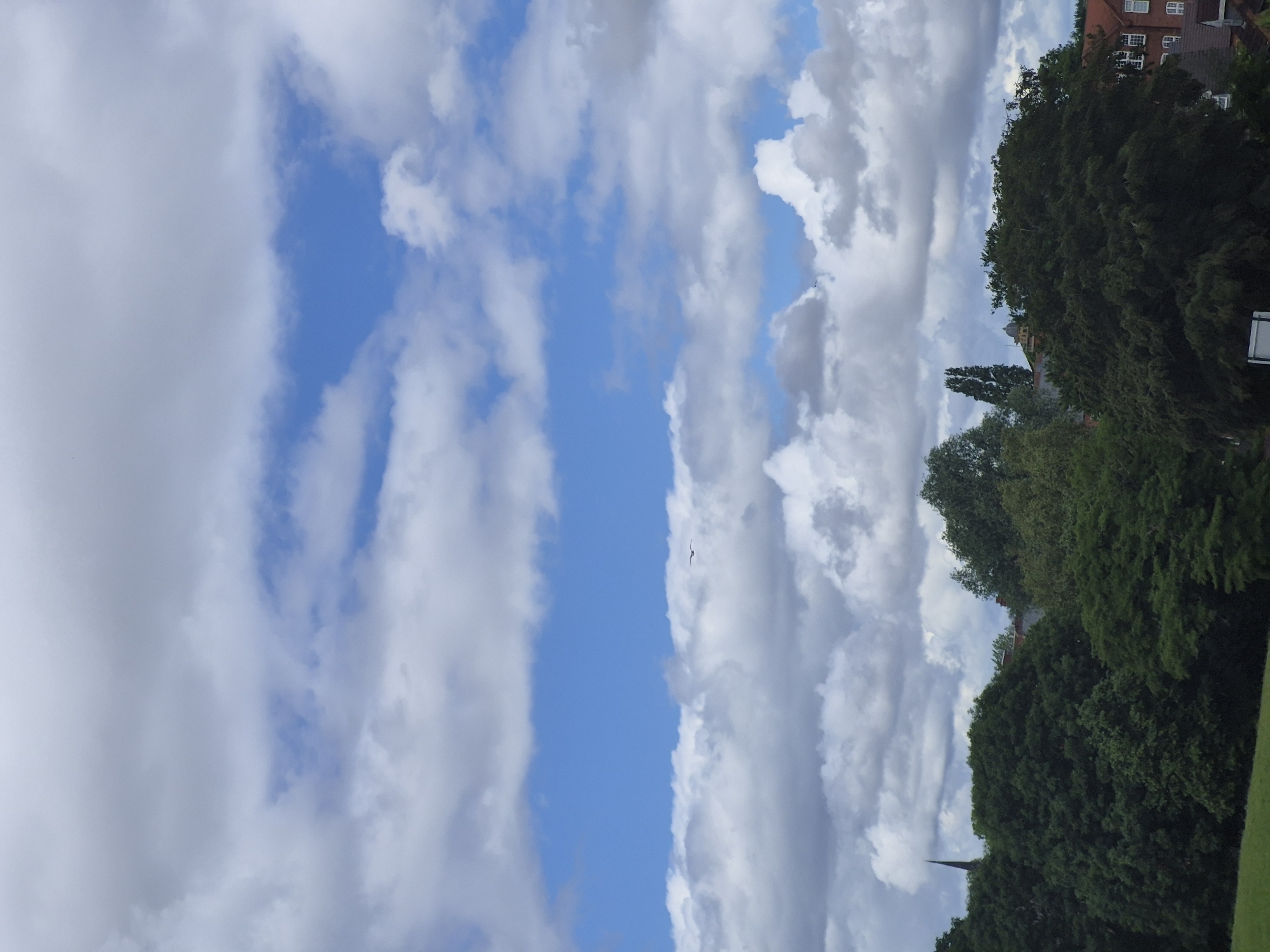 The image depicts a view of a park in Sandwell, United Kingdom, on a cloudy day with patches of blue sky visible. In the foreground, there are lush green trees, characteristic of a park setting. Behind the trees, buildings with red roofs and white-framed windows can be seen, suggesting a residential or mixed-use area bordering the park. A prominent feature on the left side of the image is a tall, slender church spire piercing through the treeline. Two birds are visible in flight against the sky. The overall impression is one of a tranquil, semi-urban landscape.