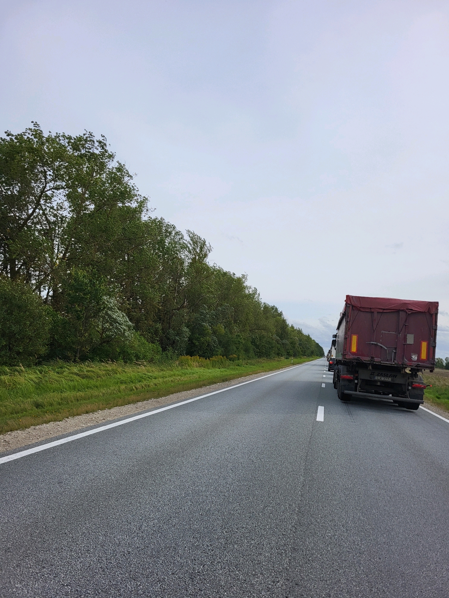 A wide shot captures a two-lane asphalt road in Paitēni, Latvia, under an overcast sky. The road is bordered by a grassy verge and a dense line of trees on the left, with fields visible in the distance on the right. A convoy of trucks is traveling on the road, with the rear of a dark red dump truck prominently featured in the foreground. The truck has its canvas cover secured and displays Polish license plates. Other vehicles, including a white truck and possibly a car, are visible further down the road. The environment appears rural and subdued due to the cloudy weather.