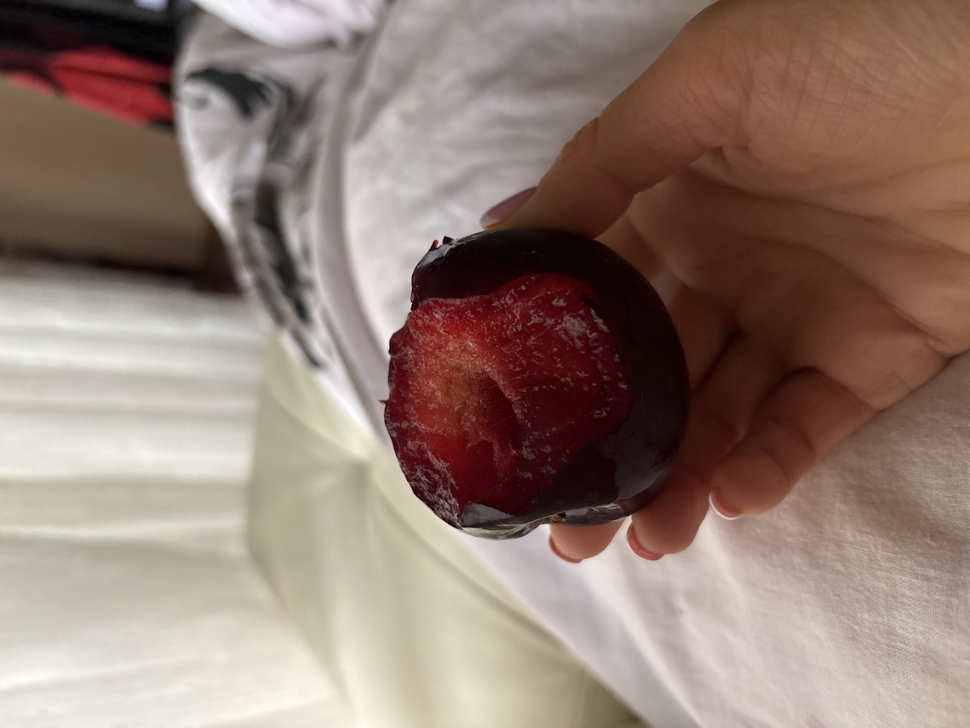 A person holds a partially eaten, dark-skinned plum, revealing the reddish-pink flesh, against a background of crumpled white fabric, likely a bed sheet. The person's fingers with light pink nail polish are visible. The setting appears to be indoors, possibly a hotel or residence. The location in the city of Budva, Montenegro is not discernible from the image.