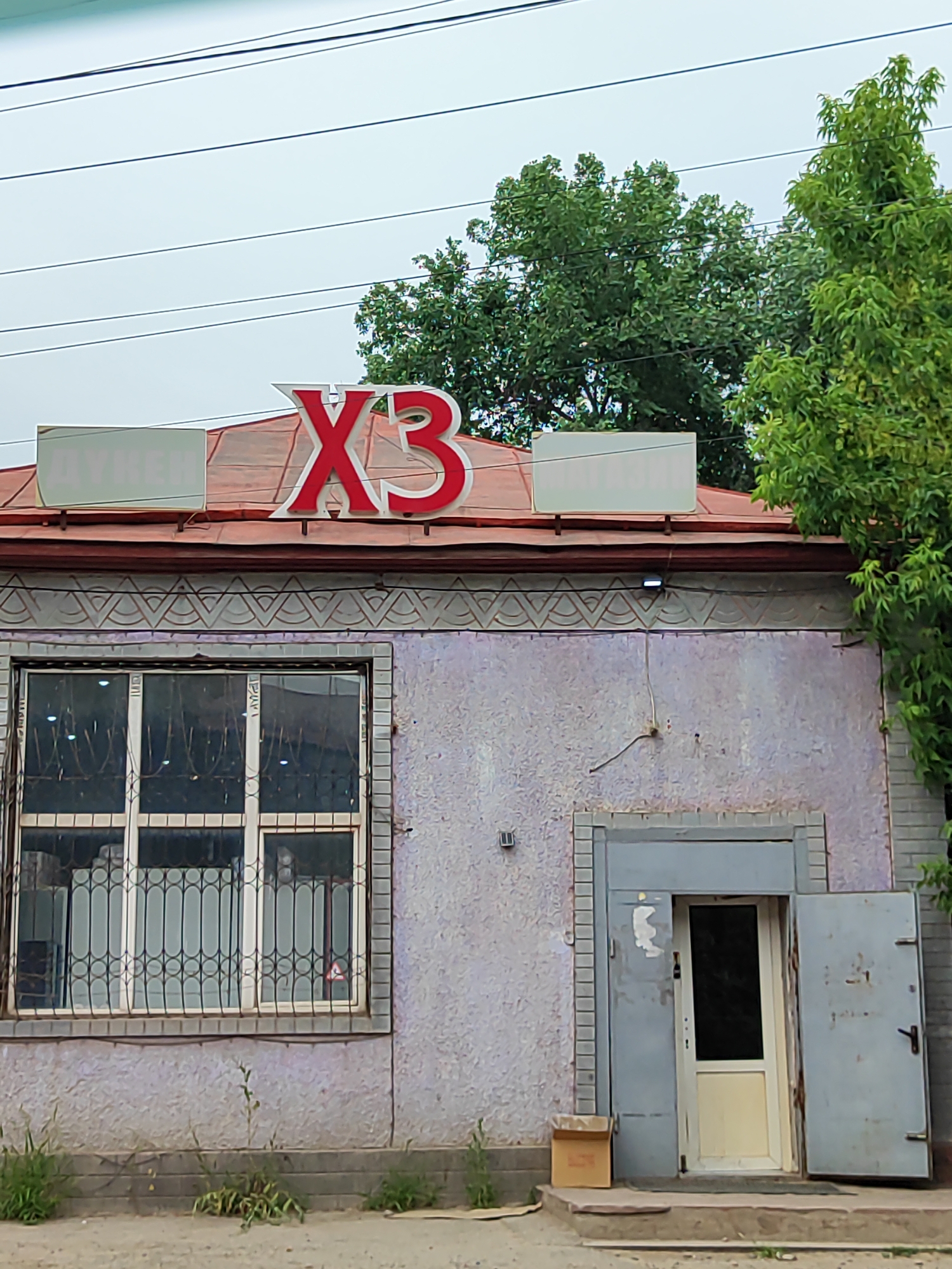 This is an exterior shot of a building with a sign that reads "X3". The building has a light purple, textured facade and a red tiled roof. A large window with protective bars is visible on the left side of the building. To the right of the window, there is a double door entrance, with one door ajar, revealing a white-framed glass door within. A small cardboard box sits on the steps in front of the entrance. Green trees are visible behind the building and to the right, suggesting an outdoor setting. Overhead, power lines crisscross the sky, which appears overcast, indicating cloudy weather. The scene appears to be in daylight. The building's architectural style and the surrounding vegetation provide some clues about its location in Almaty, Kazakhstan.