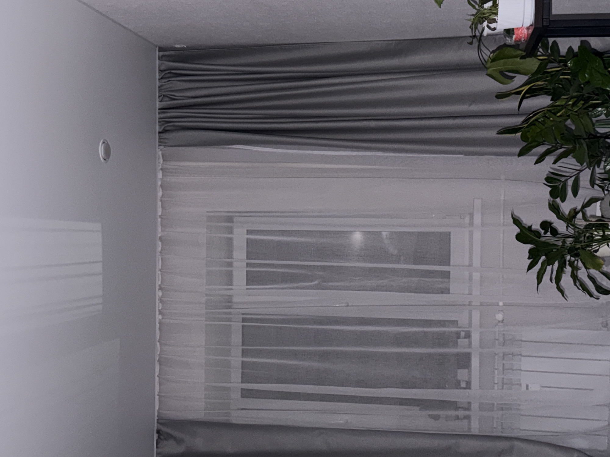 The image shows a room interior with a window covered by translucent white blinds and gray curtains. A houseplant is visible on the right side of the window. A light switch is on the wall on the left side of the image. The location is presumed to be Chaikovsky, Russia.