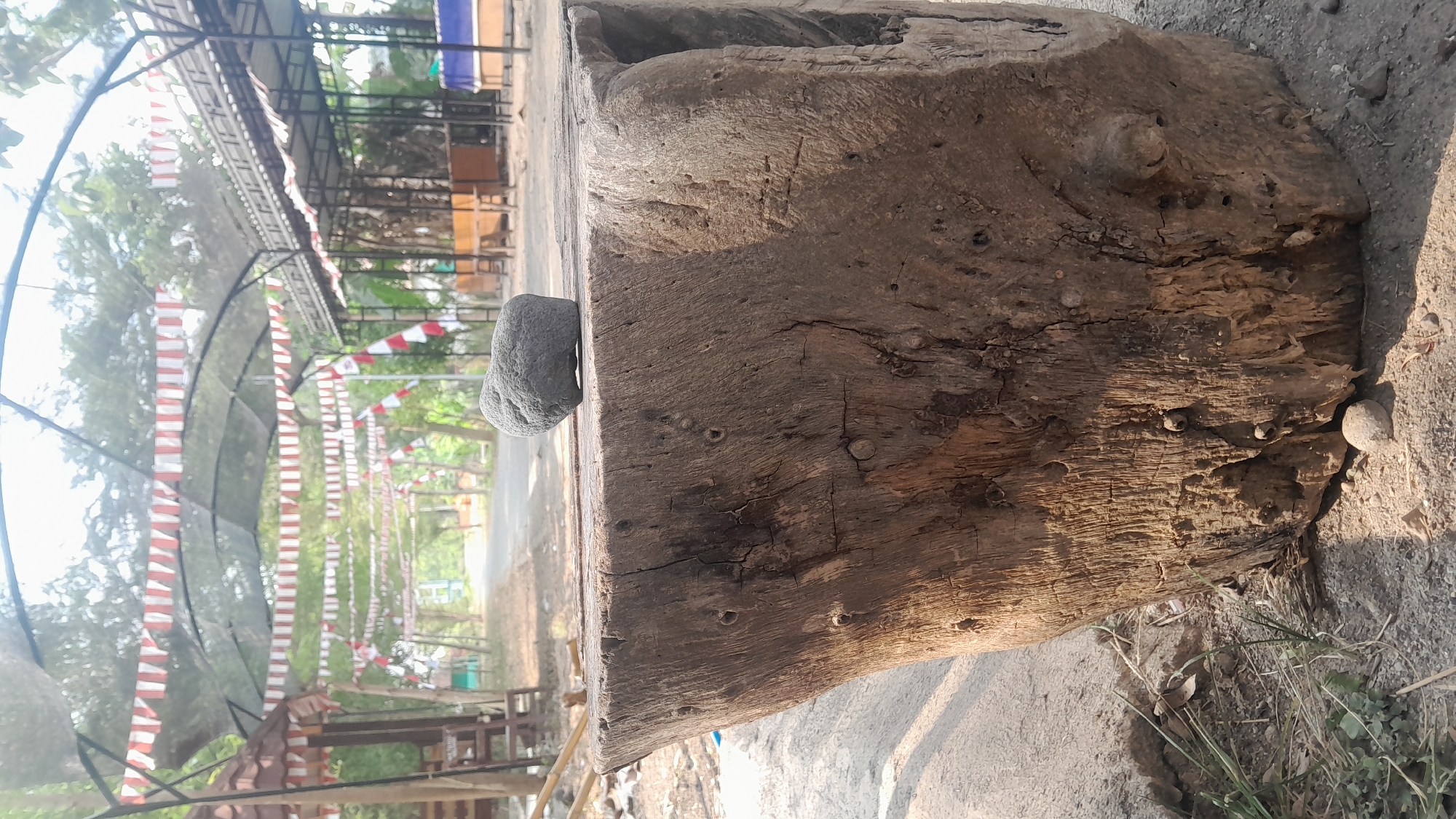 In Ngloram, Indonesia, a rough, gray stone rests on a weathered, squared-off tree stump. The stump is positioned in the foreground on a gravel and dirt path. In the background, a road stretches forward, flanked by covered walkways with arched structures. Red and white Indonesian flags are strung along these walkways, indicating a festive or commemorative occasion. Sunlight filters through the overhead netting and trees, casting shadows on the scene. The environment appears to be an outdoor gathering or market area.