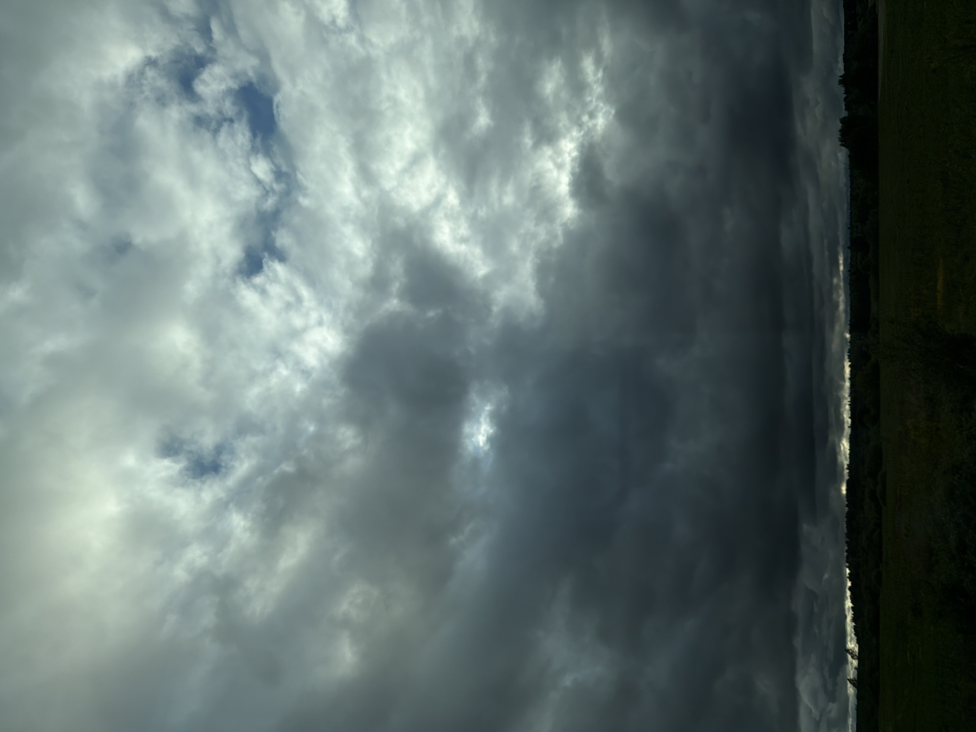 The image shows a sky filled with dramatic clouds ranging from light gray to dark gray, with a few patches of blue sky visible. On the right edge of the image, there is a strip of dark green vegetation, possibly trees and grass. The location is Совхозный, Russia, as inferred from the prompt's request. The scene depicts a landscape under a cloudy sky, likely indicating overcast weather. There are no people visible in the image.