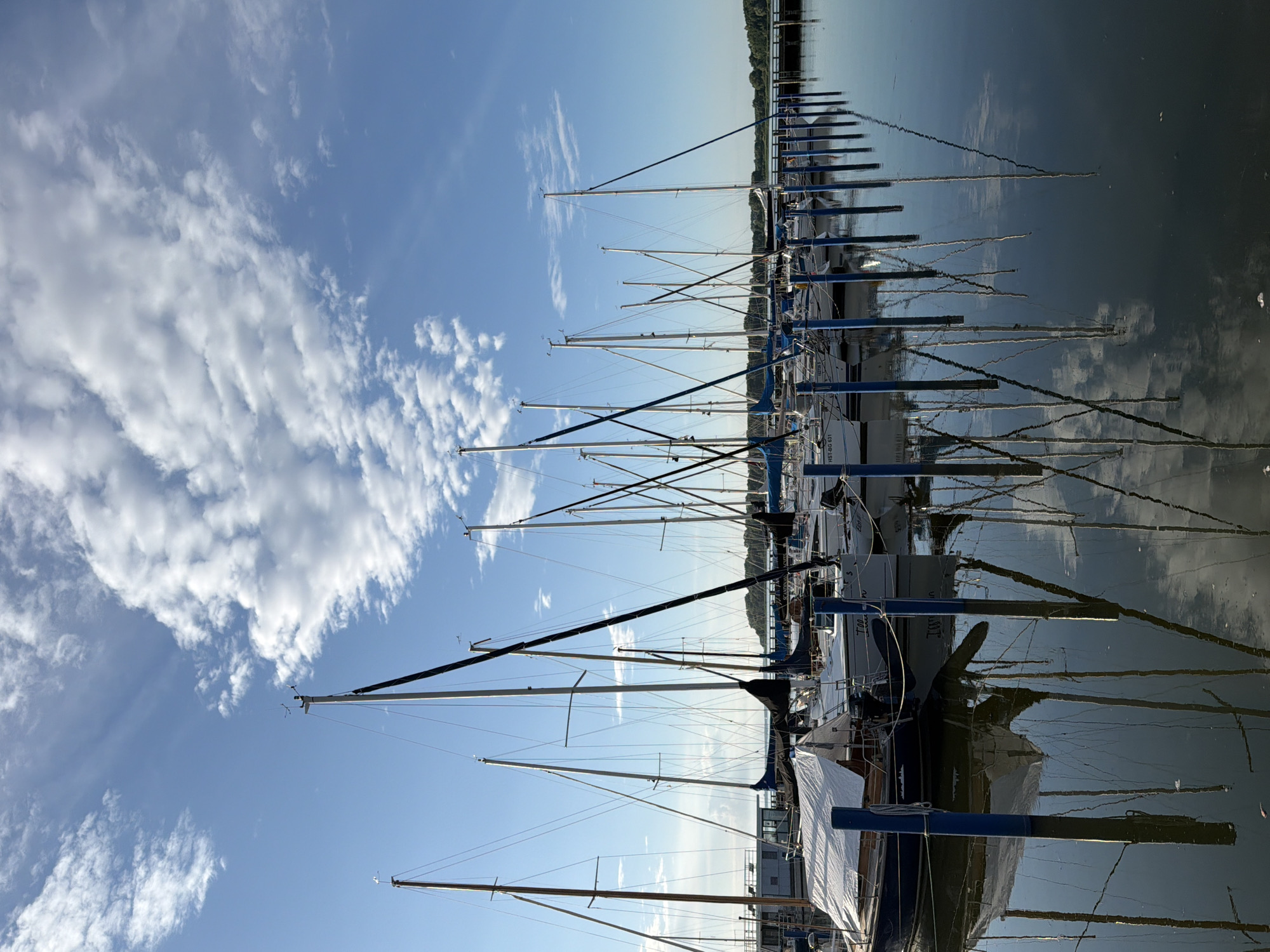 This is a photograph of a marina with numerous sailboats docked side-by-side. The boats are predominantly white with blue accents, and their masts extend high into the clear blue sky. White, wispy clouds are scattered across the sky. The water in the marina is dark and reflects the sky and the boats, creating a mirror-like effect. The sun is high in the sky, suggesting it is daytime, likely late morning or early afternoon. The scene is peaceful and tranquil, with a sense of calm. In the background, a green, tree-lined shore is visible. Some of the boats have their sails covered with white tarps. One boat in the foreground has the text "HST-BG 631" visible on its hull. The overall impression is one of a serene day at a German marina.