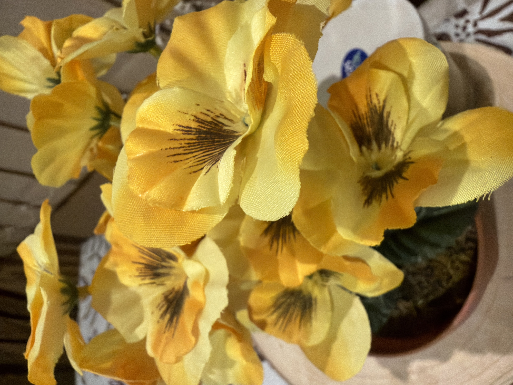 A close-up shot displays a cluster of artificial yellow pansies. The flowers are predominantly yellow, with dark brown lines radiating from their centers. The petals have a textured, fabric-like appearance. Some of the flowers are partially visible, suggesting a dense arrangement. The flowers are in a pot containing mossy ground cover. A blurred background shows hints of additional objects, including what appears to be a white disc with a blue mark. The location is not discernible from the image itself. There is no evidence to suggest this image was taken in Buhovo, Bulgaria.