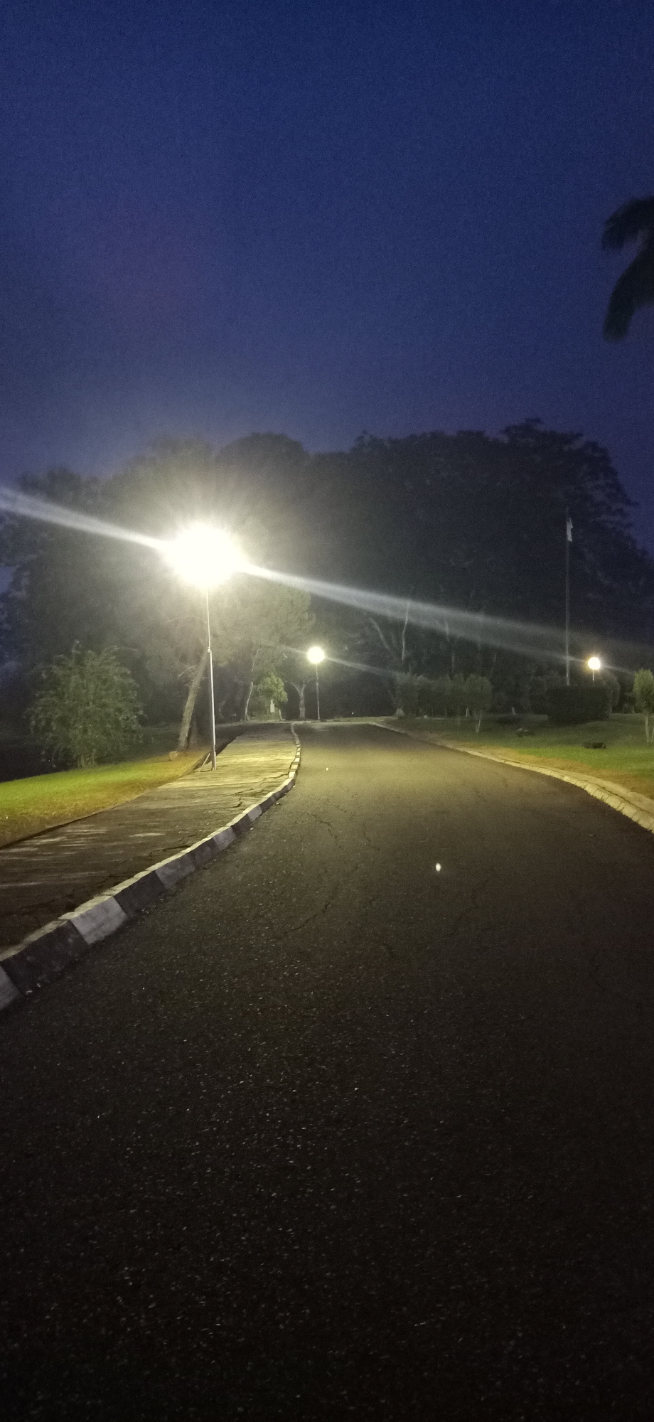 The image depicts a dark asphalt road curving to the right, illuminated by streetlights. A paved walkway with a curb runs along the left side of the road. Trees and foliage are visible on both sides of the road, with a dense line of trees forming a backdrop. The sky above is a deep blue, indicating it is either dawn or dusk. The scene is likely a park or a campus, given the well-maintained road and walkway, and the presence of streetlights. The image does not contain any people or visible actions. It is a still, quiet scene. The location within Palohgadeng, Indonesia, is not explicitly evident from the image itself.