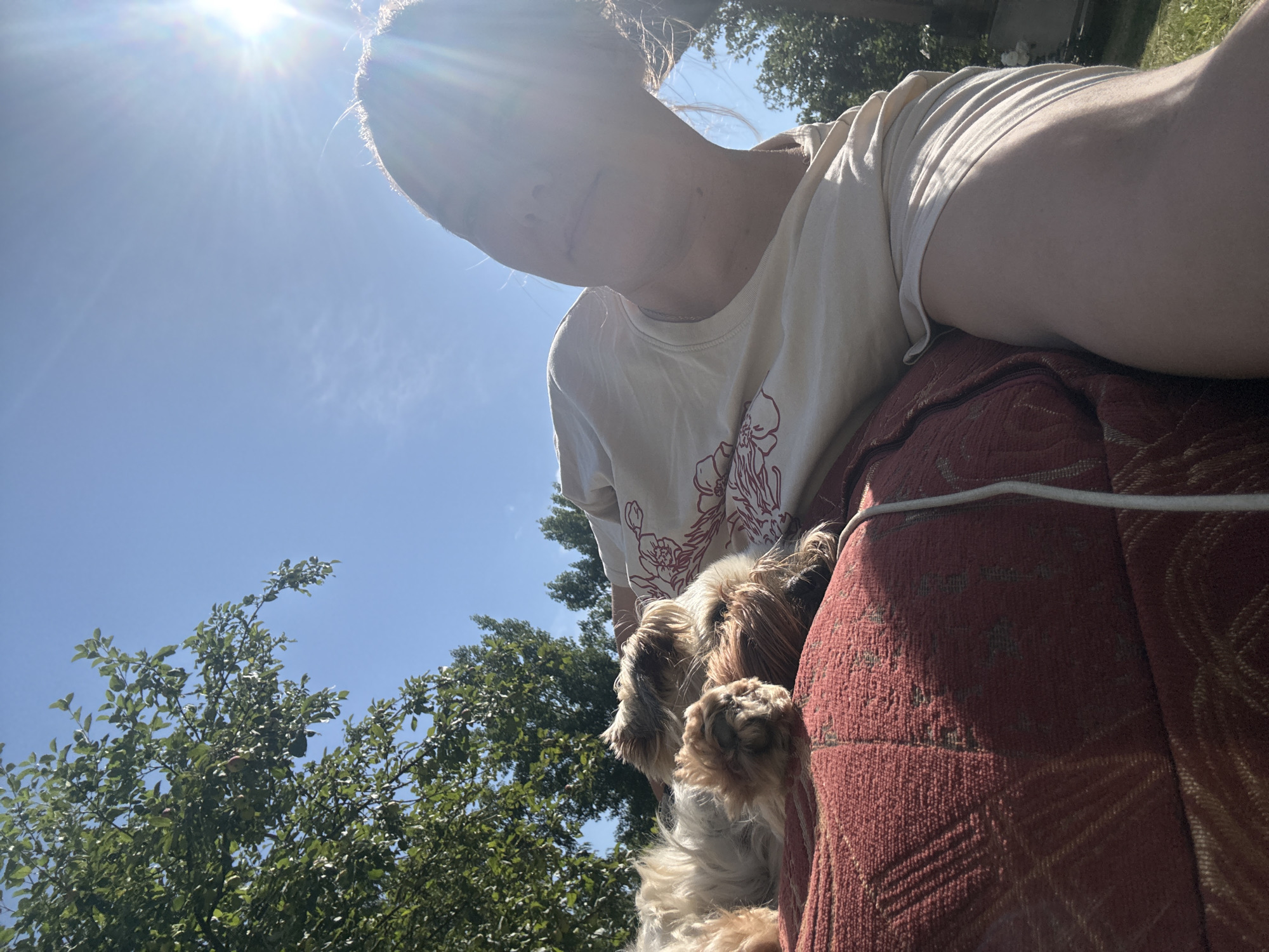 In Dmitrov, Russia, a person reclines outdoors on a red, patterned cushion. A small, light-brown dog with shaggy fur lies on the cushion, near the person's arm. The person is wearing a light-colored t-shirt with a red floral design. The sun is bright and shining from the upper right of the frame, casting rays across the scene. Green trees and a clear blue sky are visible in the background.