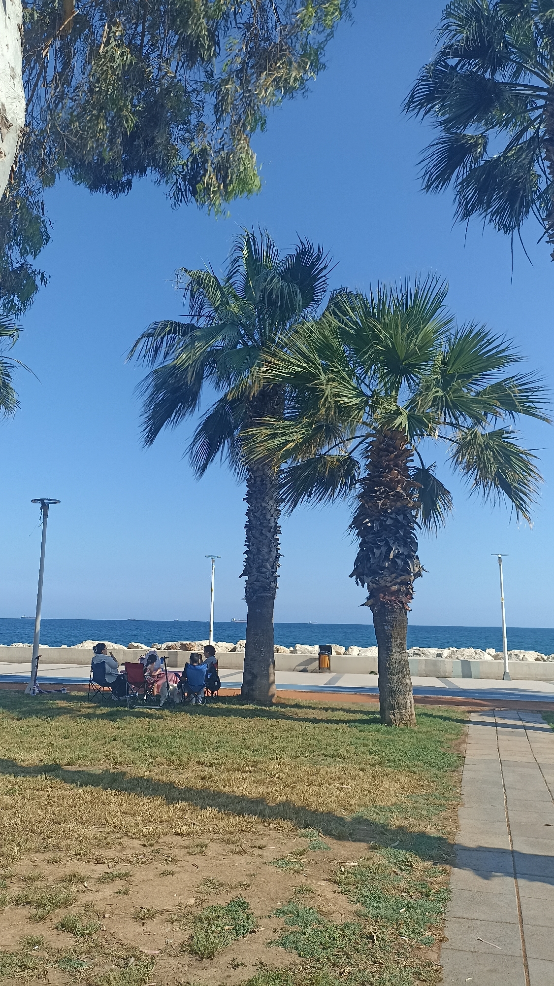 The image captures a sunlit coastal scene in the city of Unknown, Unknown, under a clear, cloudless blue sky. Two mature palm trees with rugged, dark trunks and full green fronds dominate the central mid-ground. A tree with a pale, smooth trunk and dense, lighter green foliage is partially visible on the far left.
In the mid-ground, a group of approximately five to six individuals is seated on portable folding chairs, including red and blue models, on a paved promenade. The individuals' faces are not discernible. To their right, a public trash receptacle, yellow and black, is visible near one of the palm tree bases. A scooter leans against an unseen object on the far left of the paved area. The promenade features subtle blue and orange line markings.
The paved area terminates at a substantial barrier of large, grey rocks, beyond which lies the calm, blue sea. Several large cargo ships are visible on the distant horizon. Three tall streetlights with circular, flat fixtures are intermittently placed along the promenade.
The foreground consists of an uneven expanse of dry, patchy grass interspersed with bare earth and some greener low-lying vegetation. Shadows are cast across this grassy area, indicating bright sunlight from the upper right. A grey tiled sidewalk runs along the right edge of the frame, separating the grassy area from the promenade.