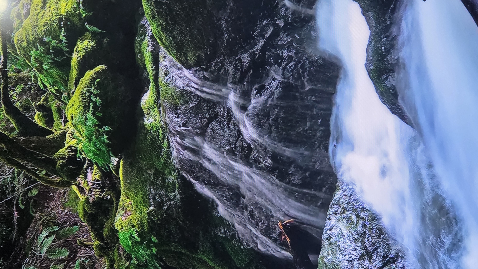 The image depicts a lush, moss-covered waterfall cascading over dark, rocky terrain. The water is white and frothy at the bottom, indicating a strong current. Green vegetation, including ferns and mosses, thrives on the rocks and surrounding trees, creating a vibrant and natural environment. The lighting suggests an overcast or shaded setting, typical of a dense forest. There are no people or man-made structures visible in the image. The scene captures a serene and wild natural landscape. This image does not depict any location in the city of East Jakarta, Indonesia, as it is a natural waterfall scene.